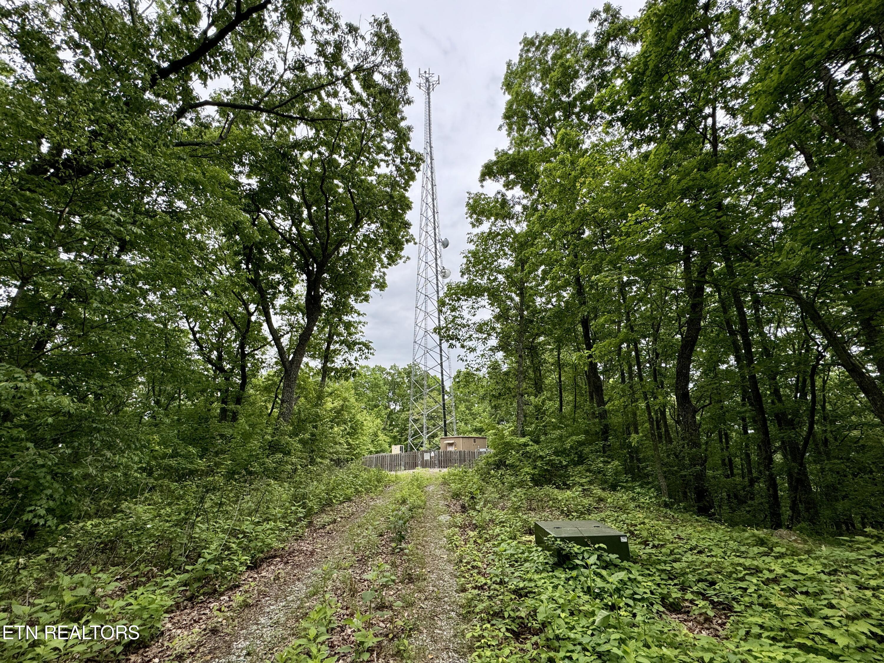 Green Ridge Tr Property Photo 13