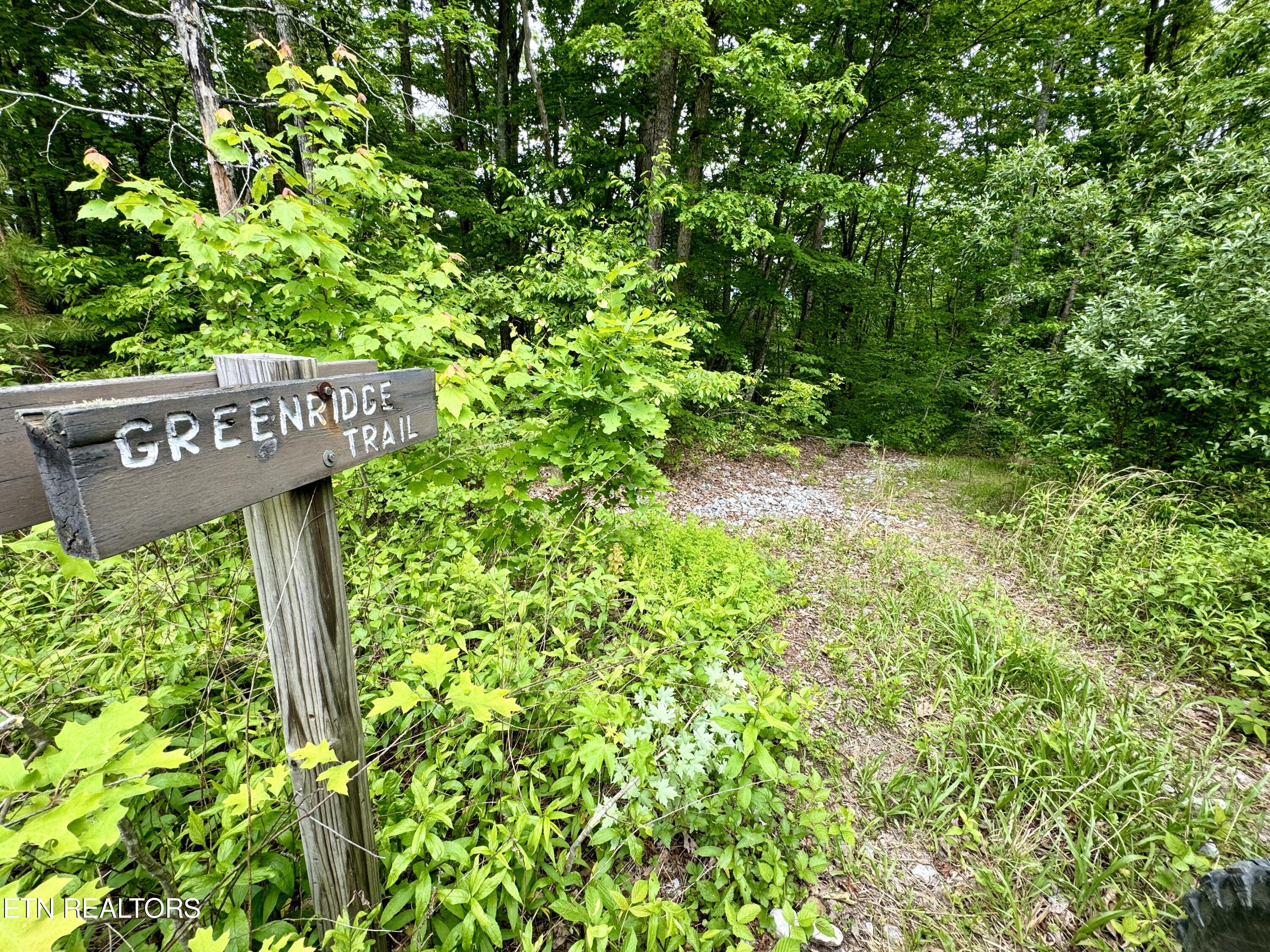 Green Ridge Tr Property Photo 15