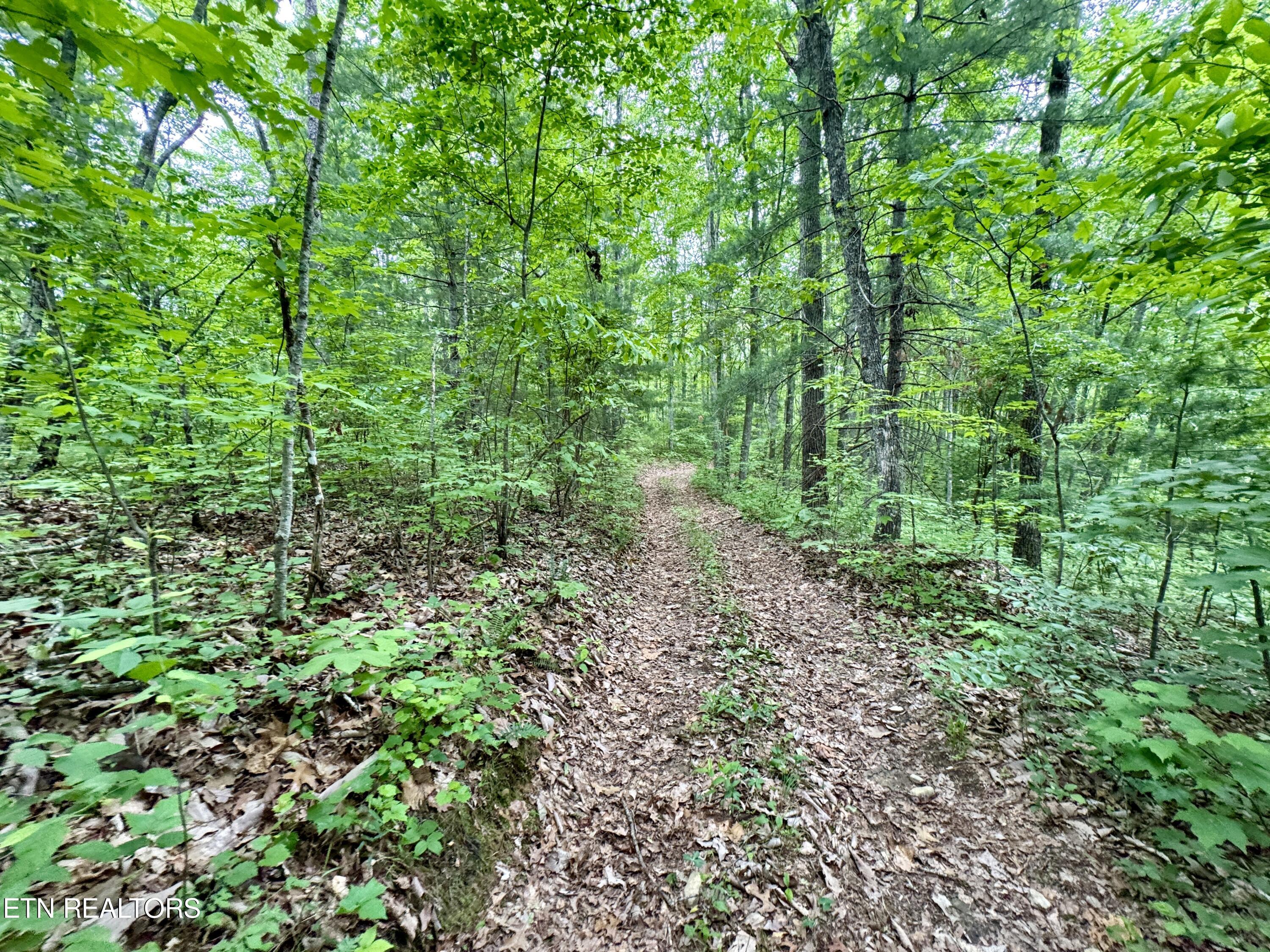 Green Ridge Tr Property Photo 16