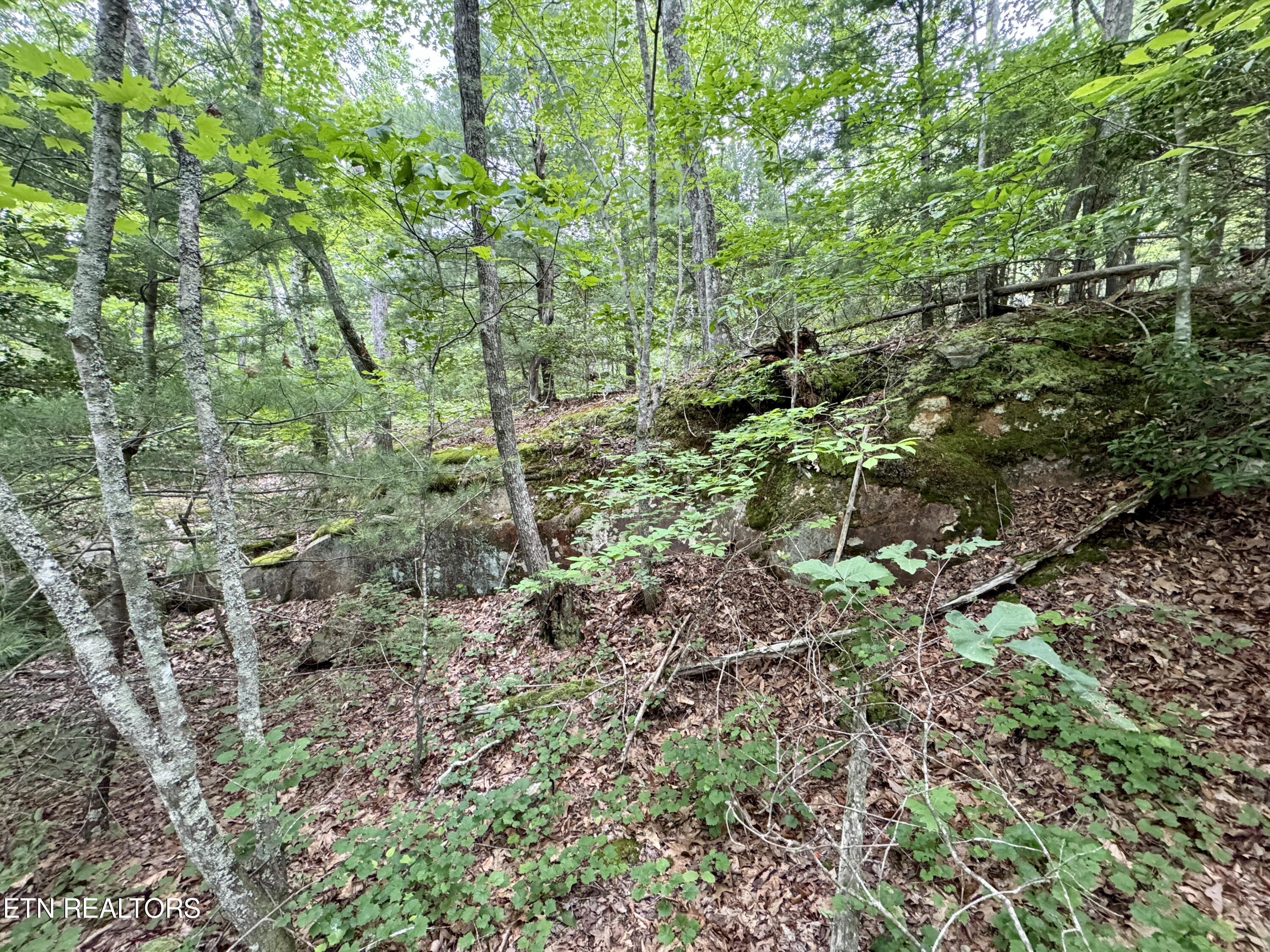 Green Ridge Tr Property Photo 17