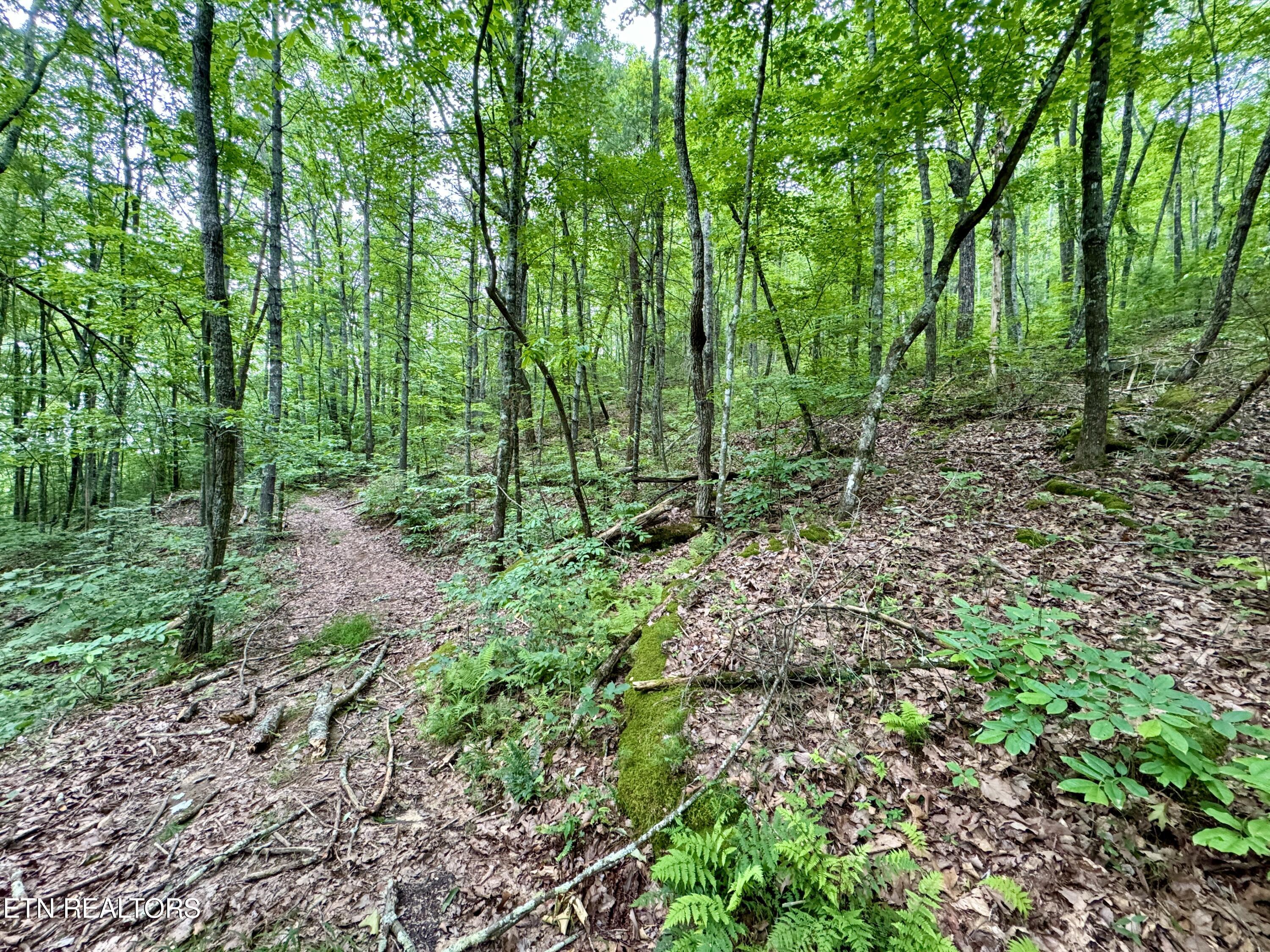 Green Ridge Tr Property Photo 18
