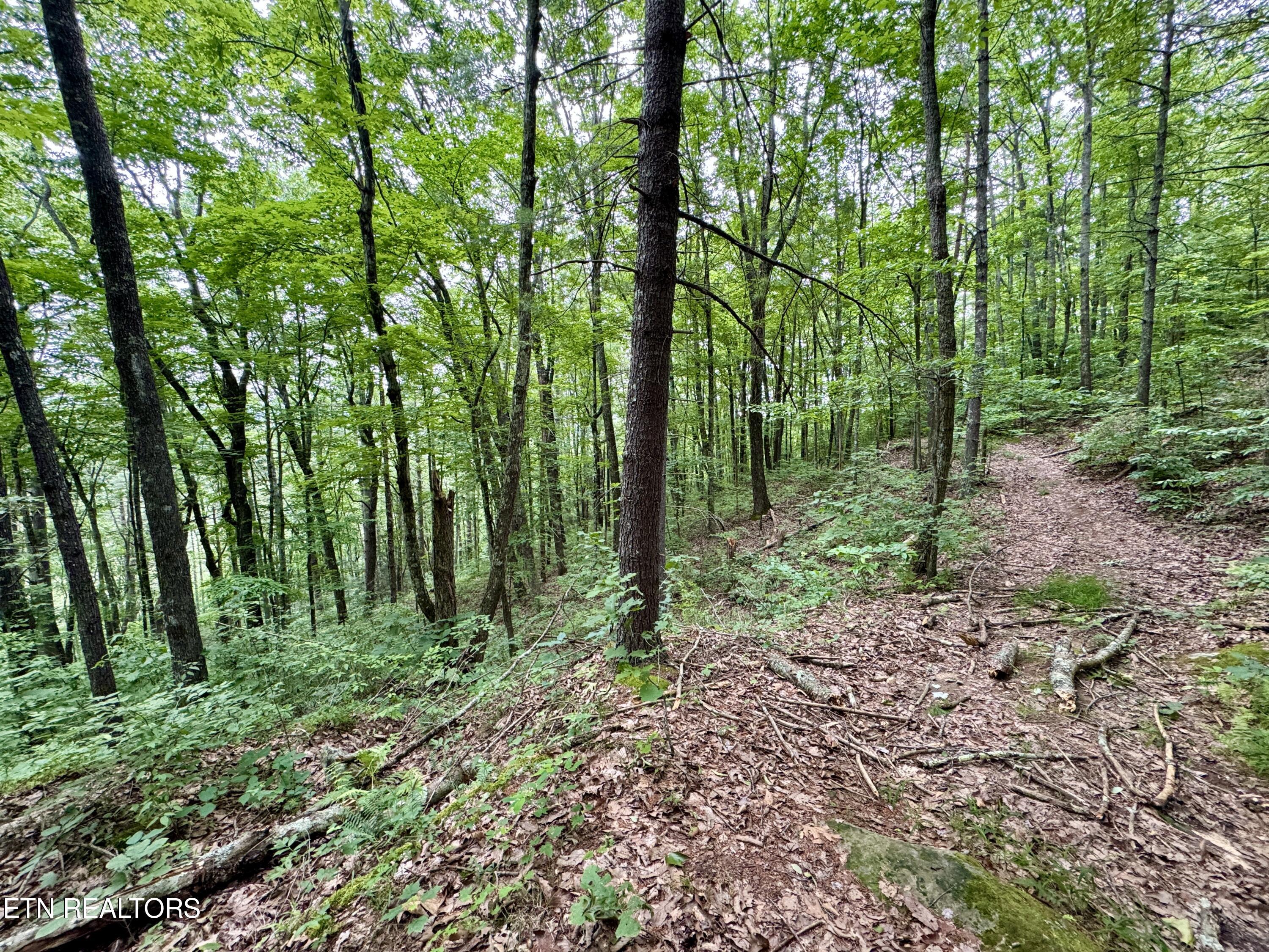 Green Ridge Tr Property Photo 19