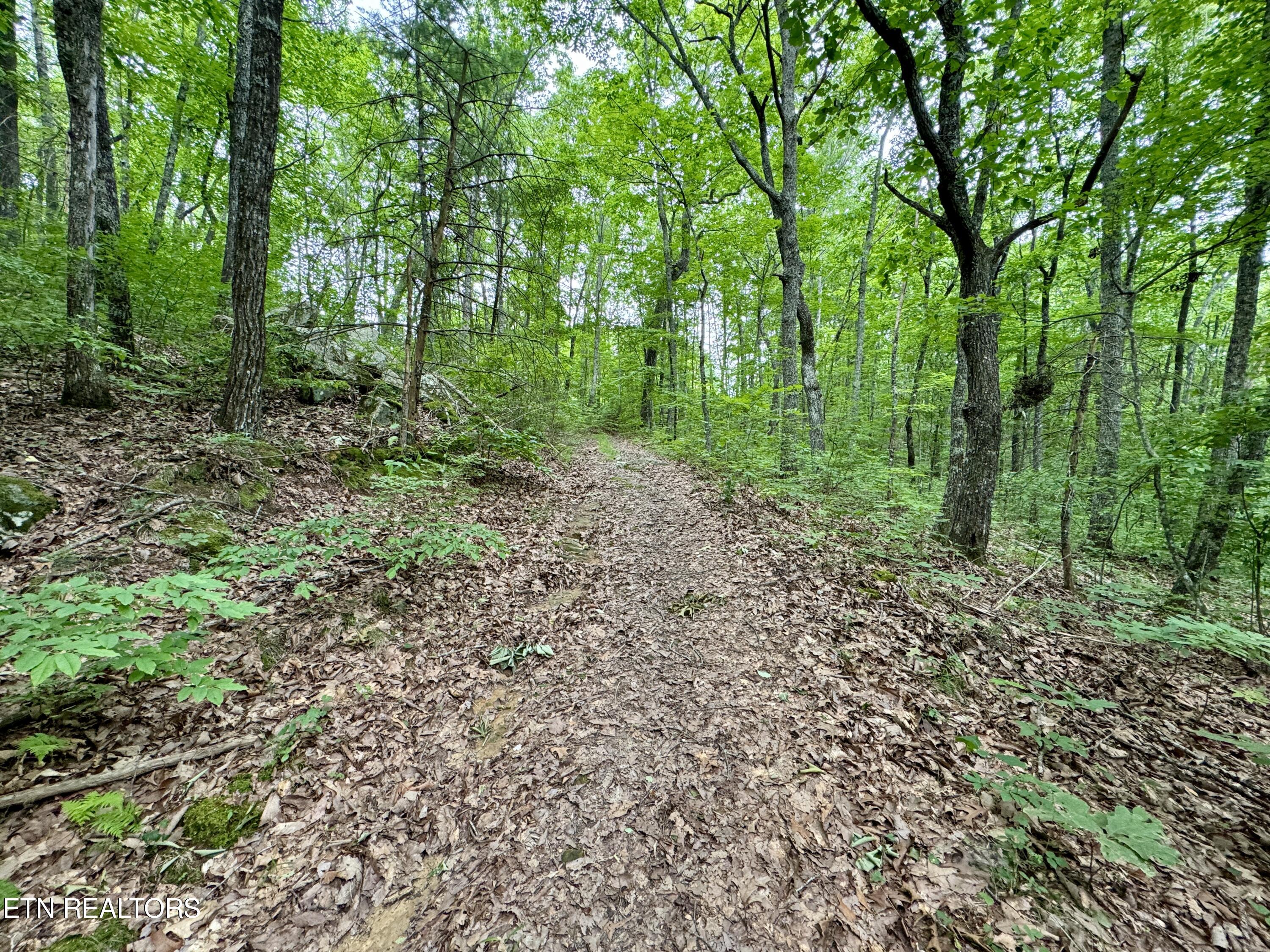 Green Ridge Tr Property Photo 20