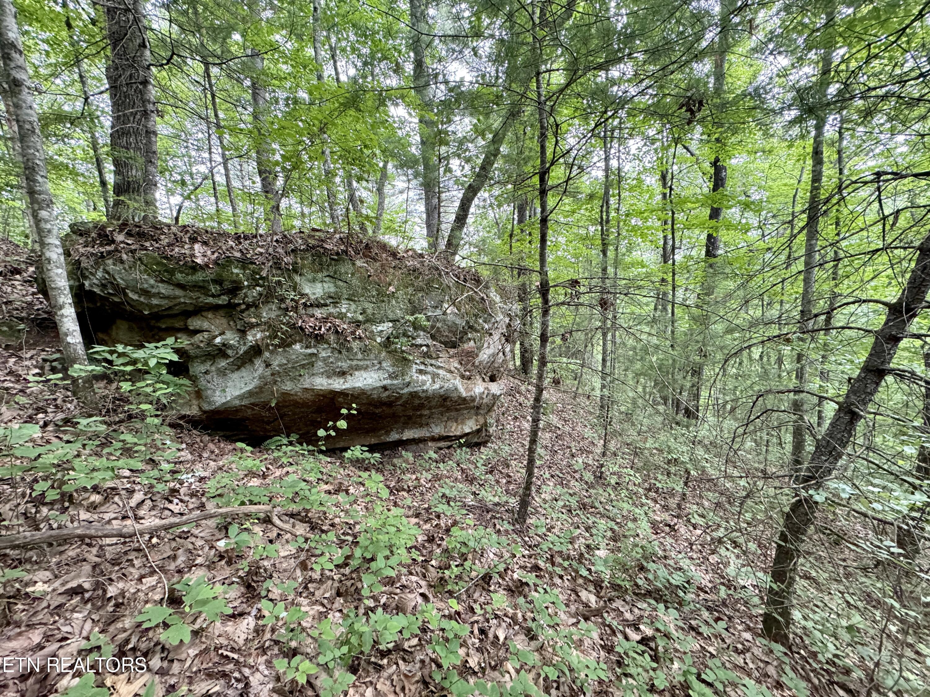 Green Ridge Tr Property Photo 21
