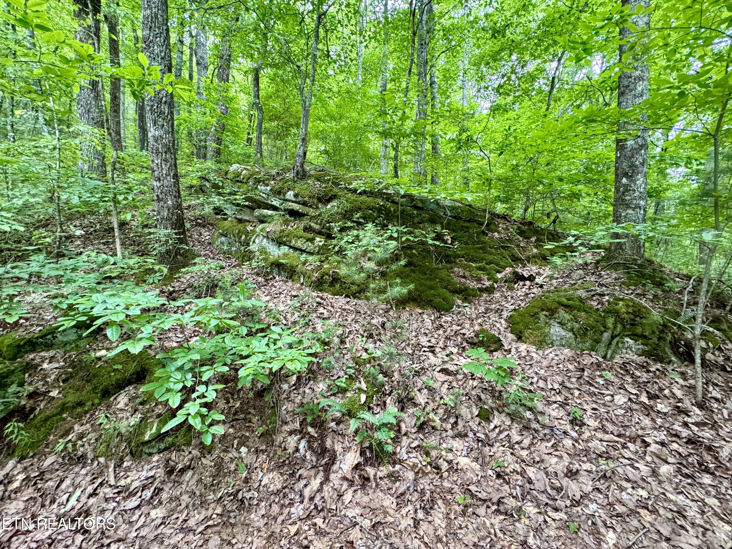 Green Ridge Tr Property Photo 22