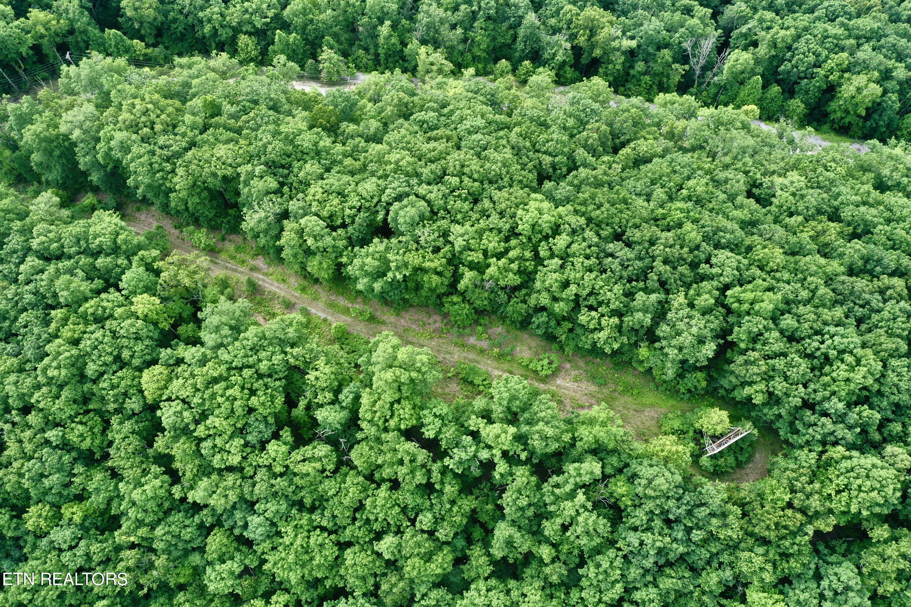 Green Ridge Tr Property Photo 29