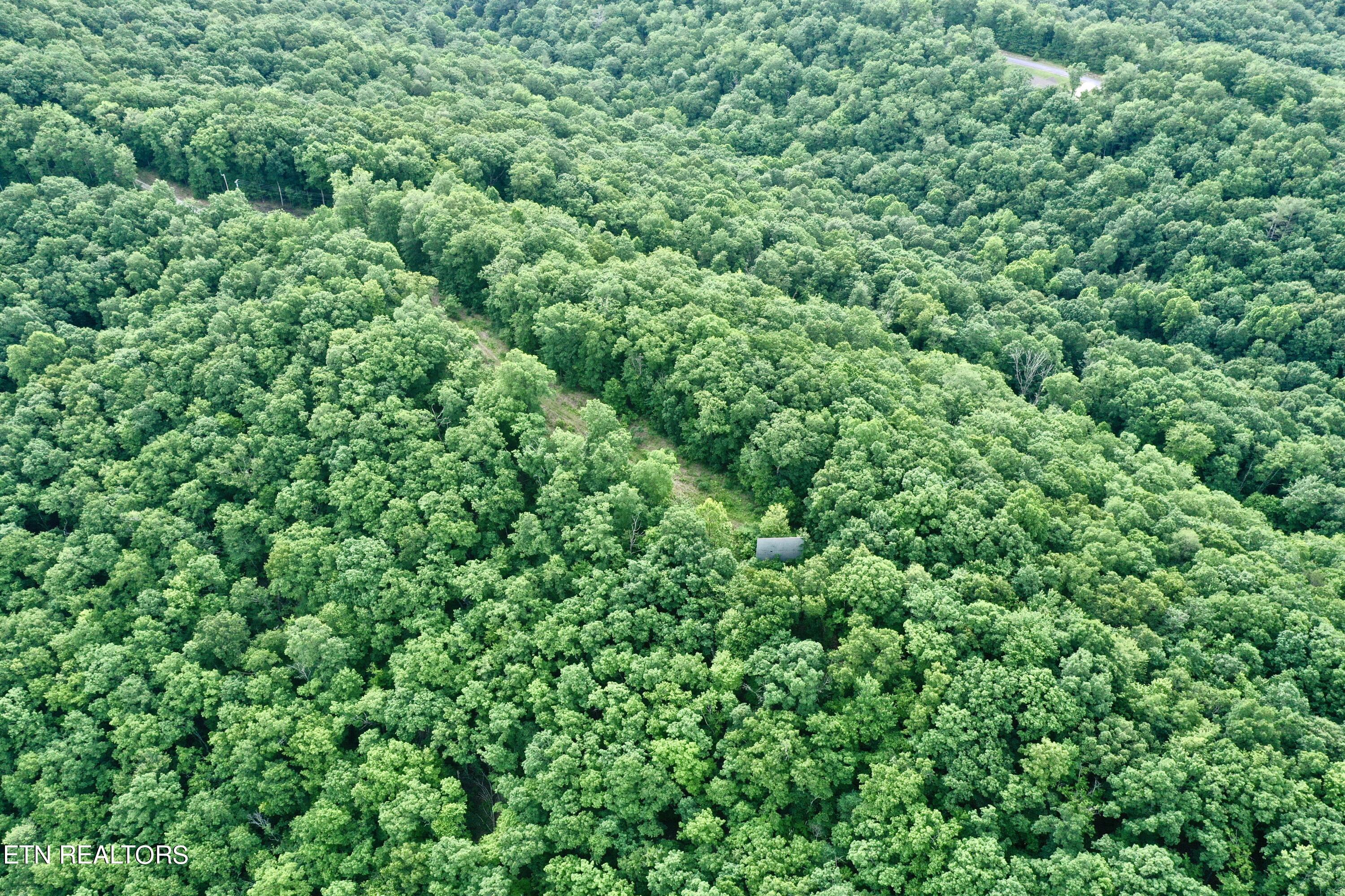 Green Ridge Tr Property Photo 30