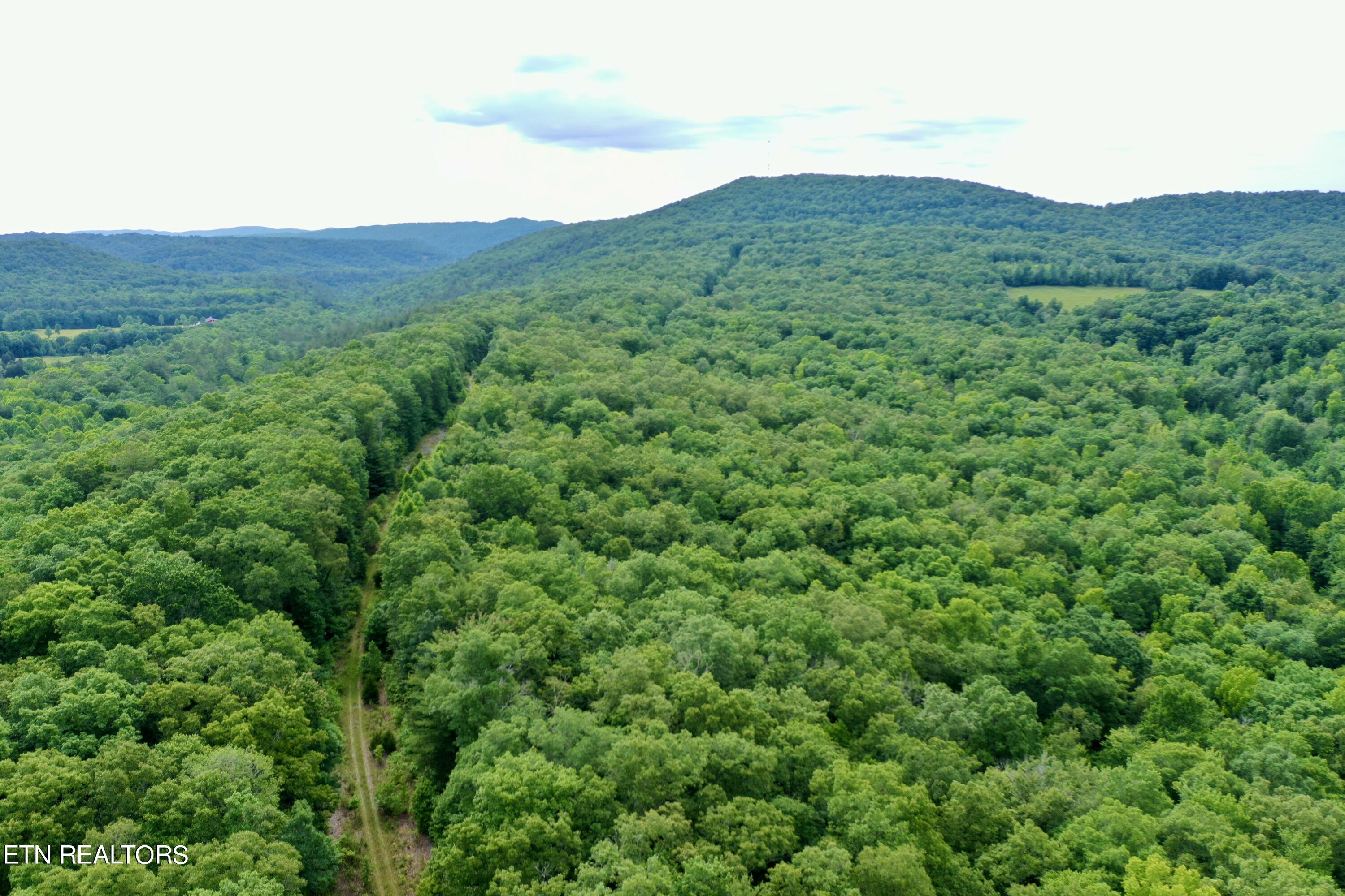 Green Ridge Tr Property Photo 39