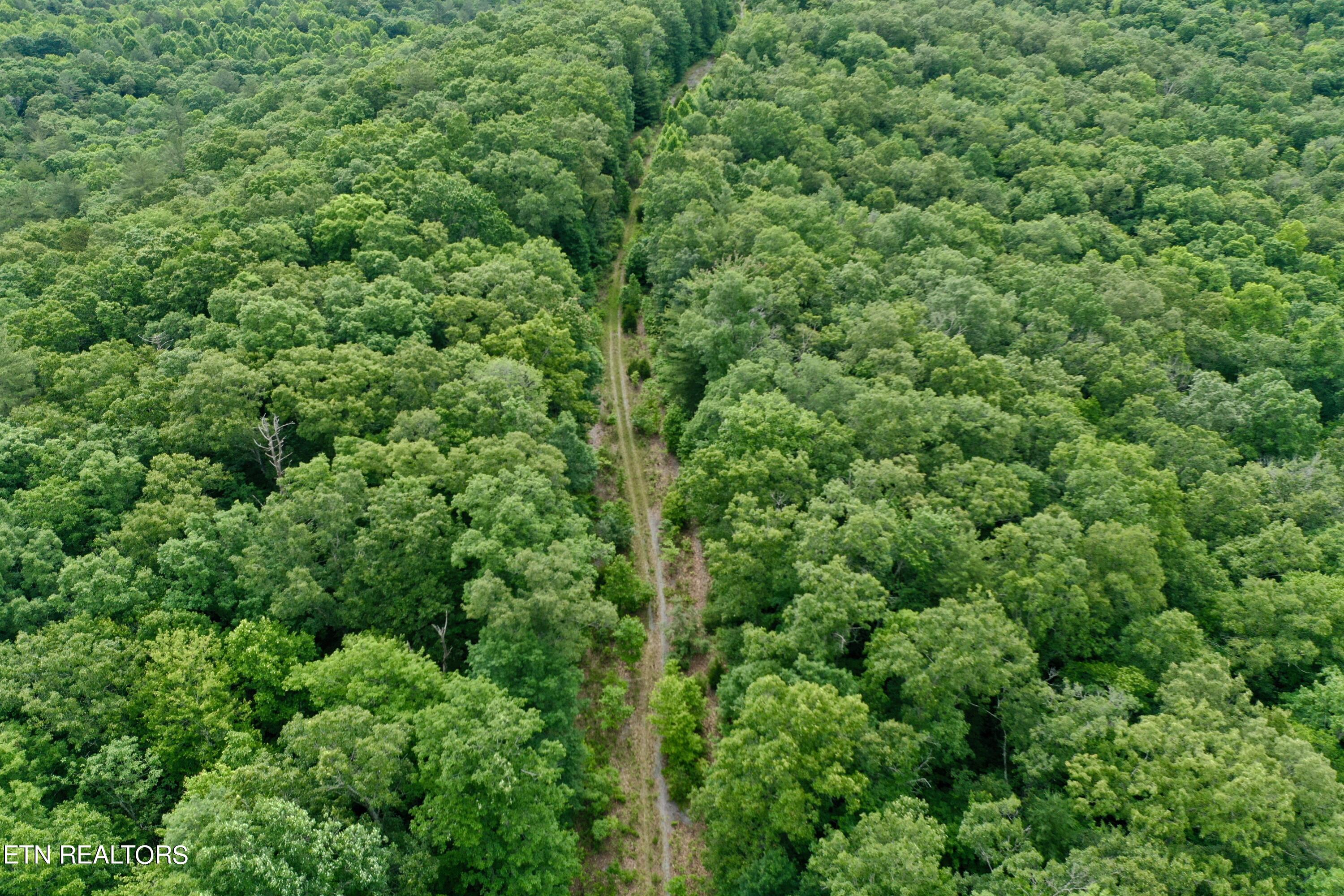 Green Ridge Tr Property Photo 40