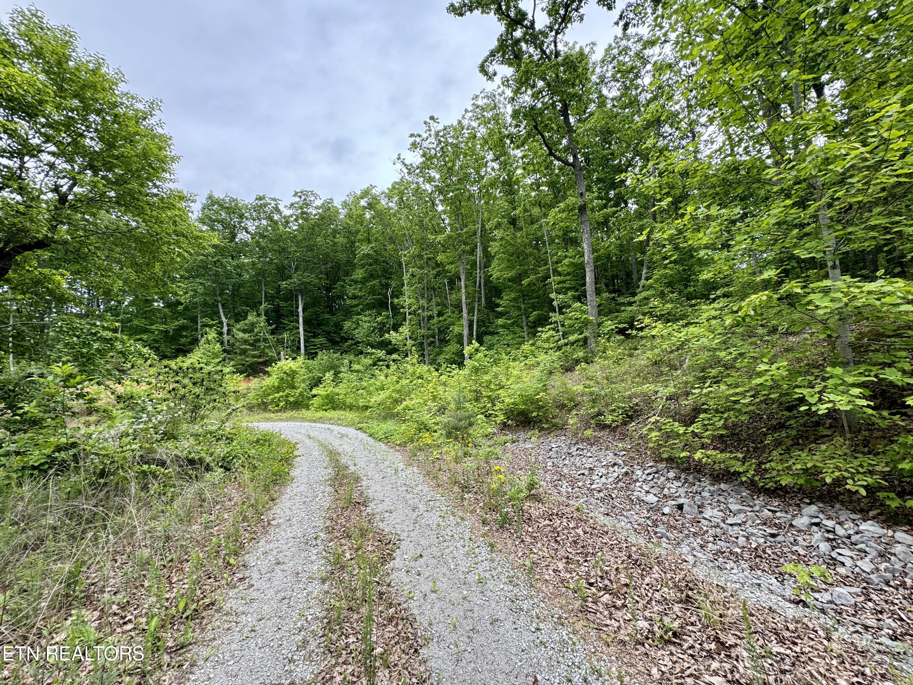 Green Ridge Tr Property Photo 41