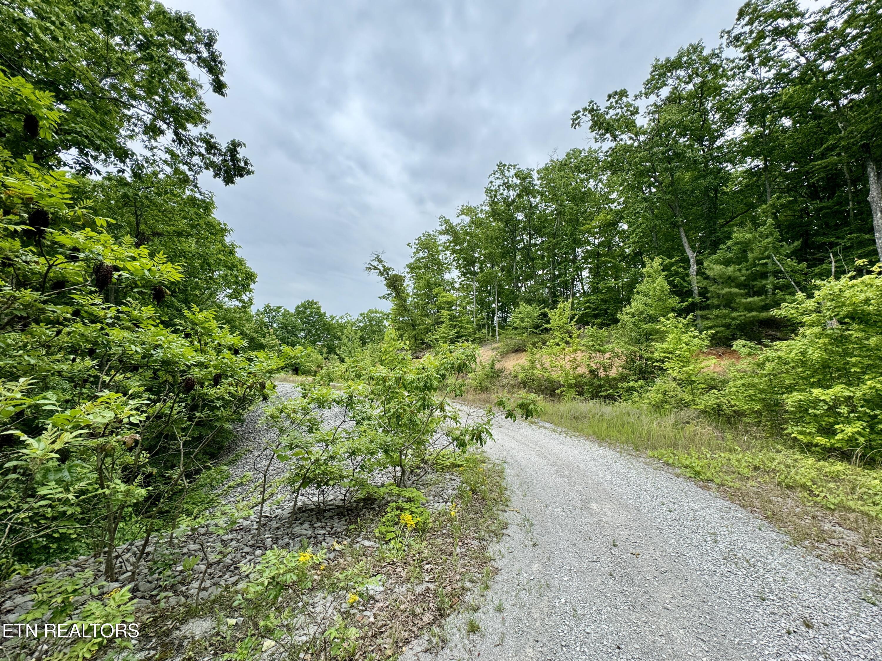 Green Ridge Tr Property Photo 42