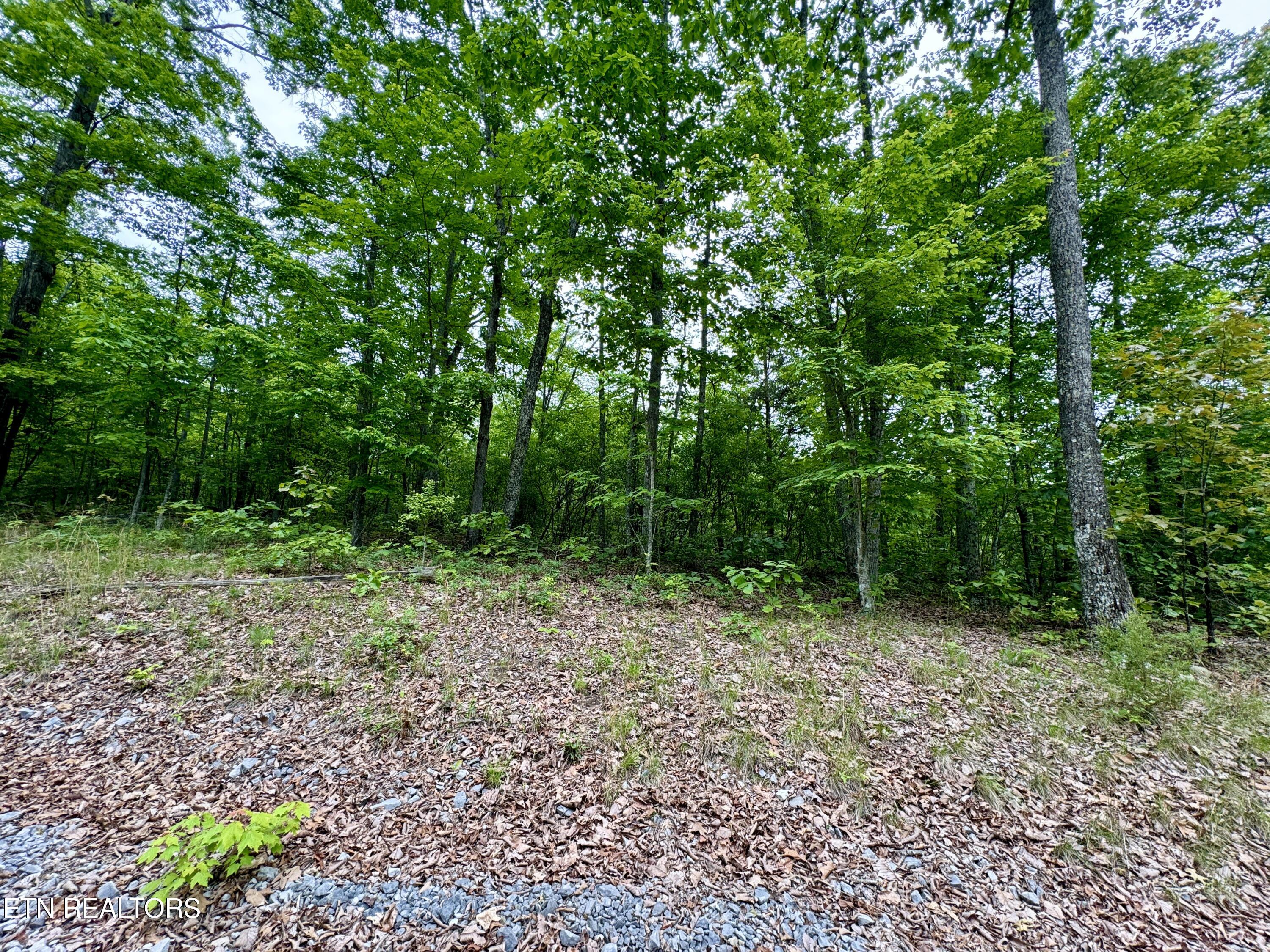 Green Ridge Tr Property Photo 45
