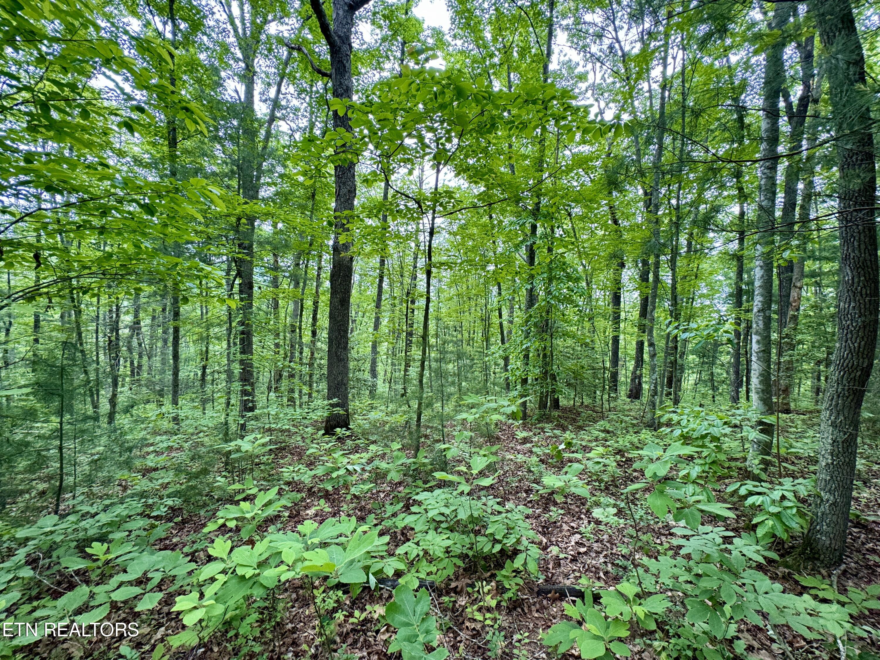 Green Ridge Tr Property Photo 46