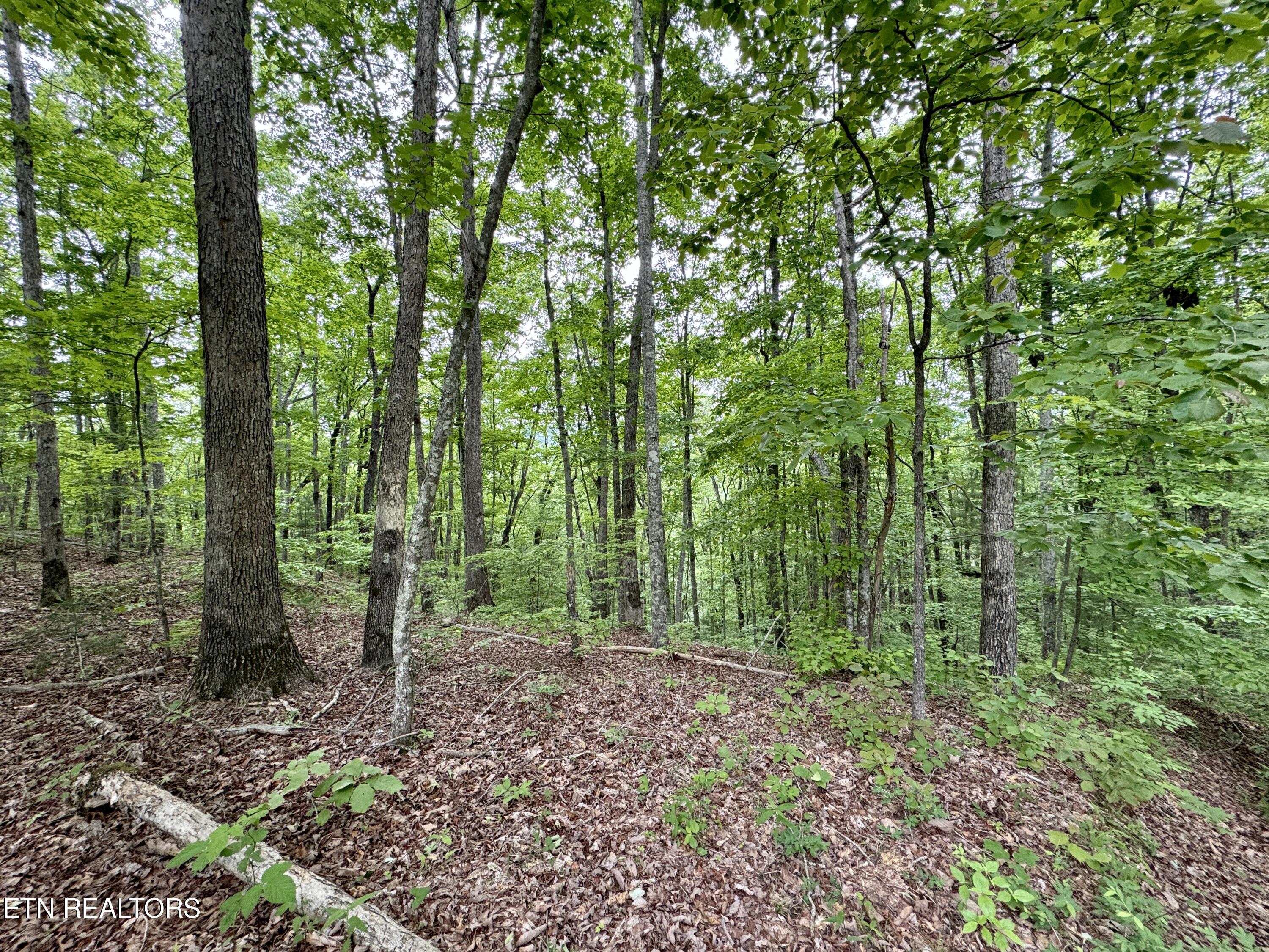 Green Ridge Tr Property Photo 47