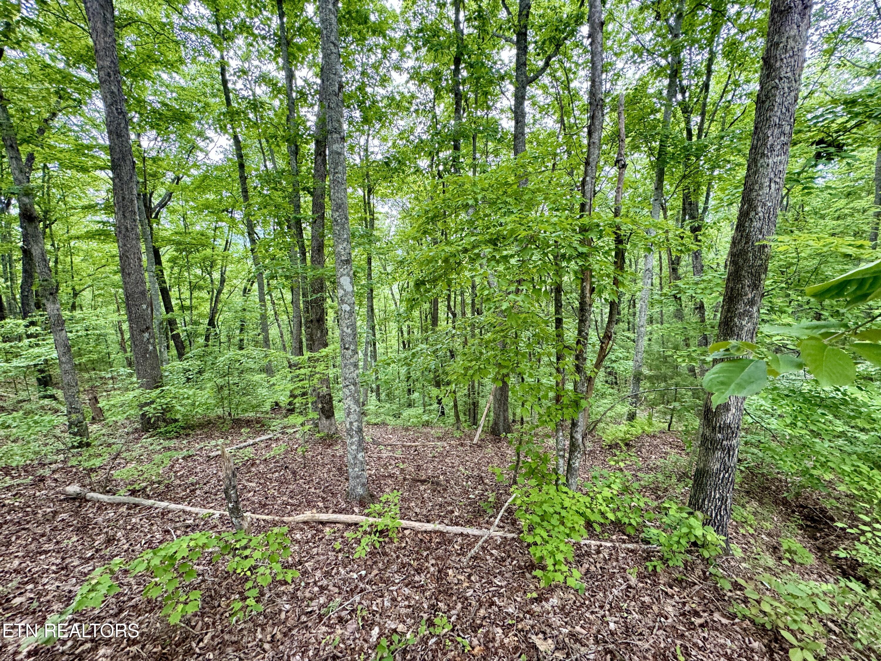 Green Ridge Tr Property Photo 48