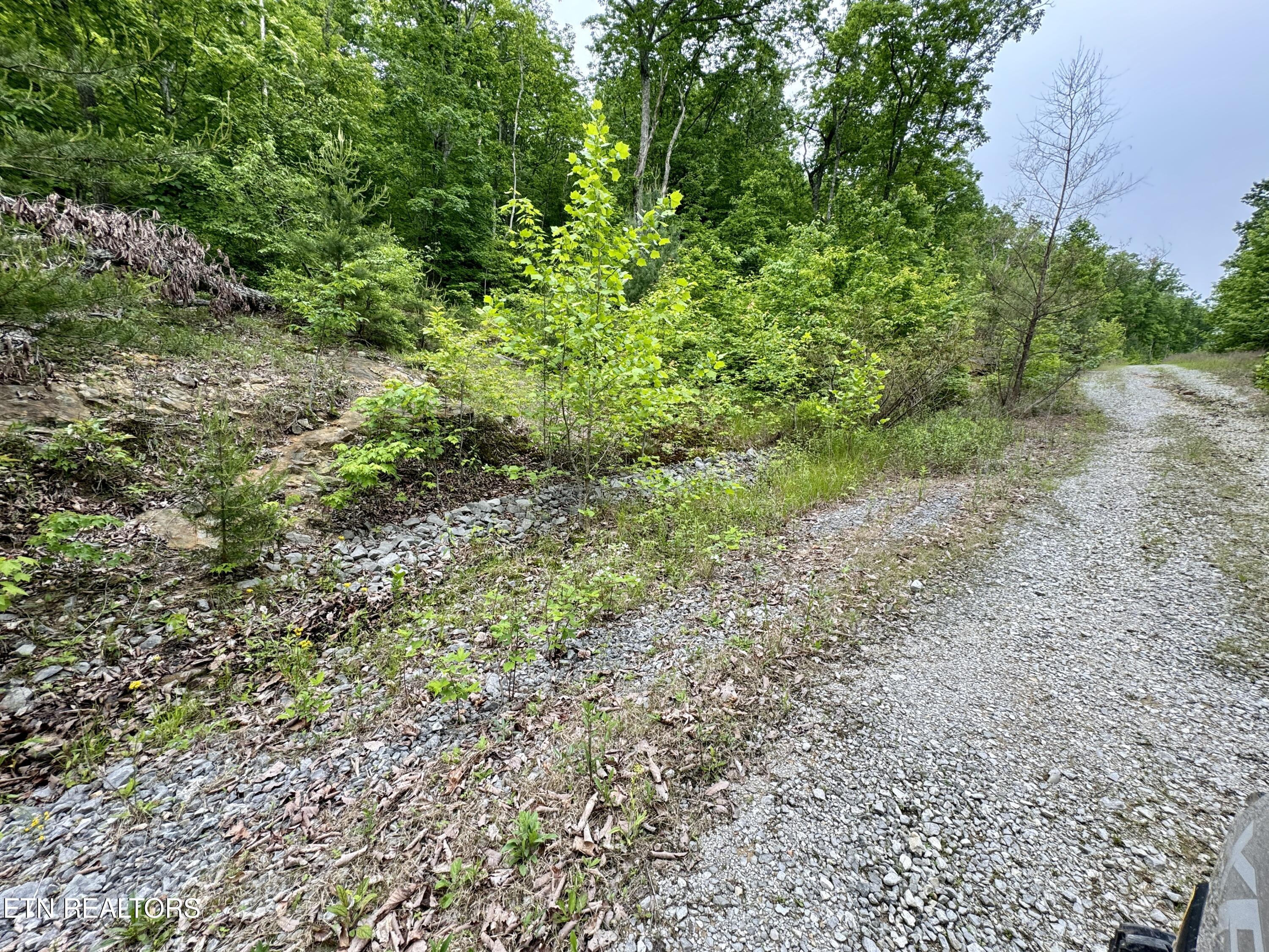 Green Ridge Tr Property Photo 50