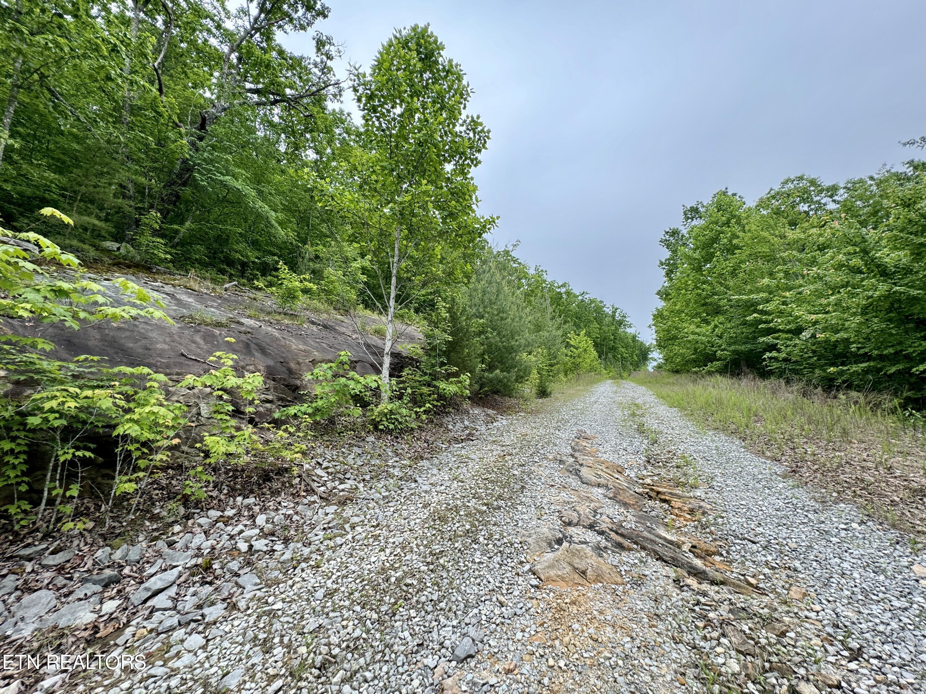 Green Ridge Tr Property Photo 52