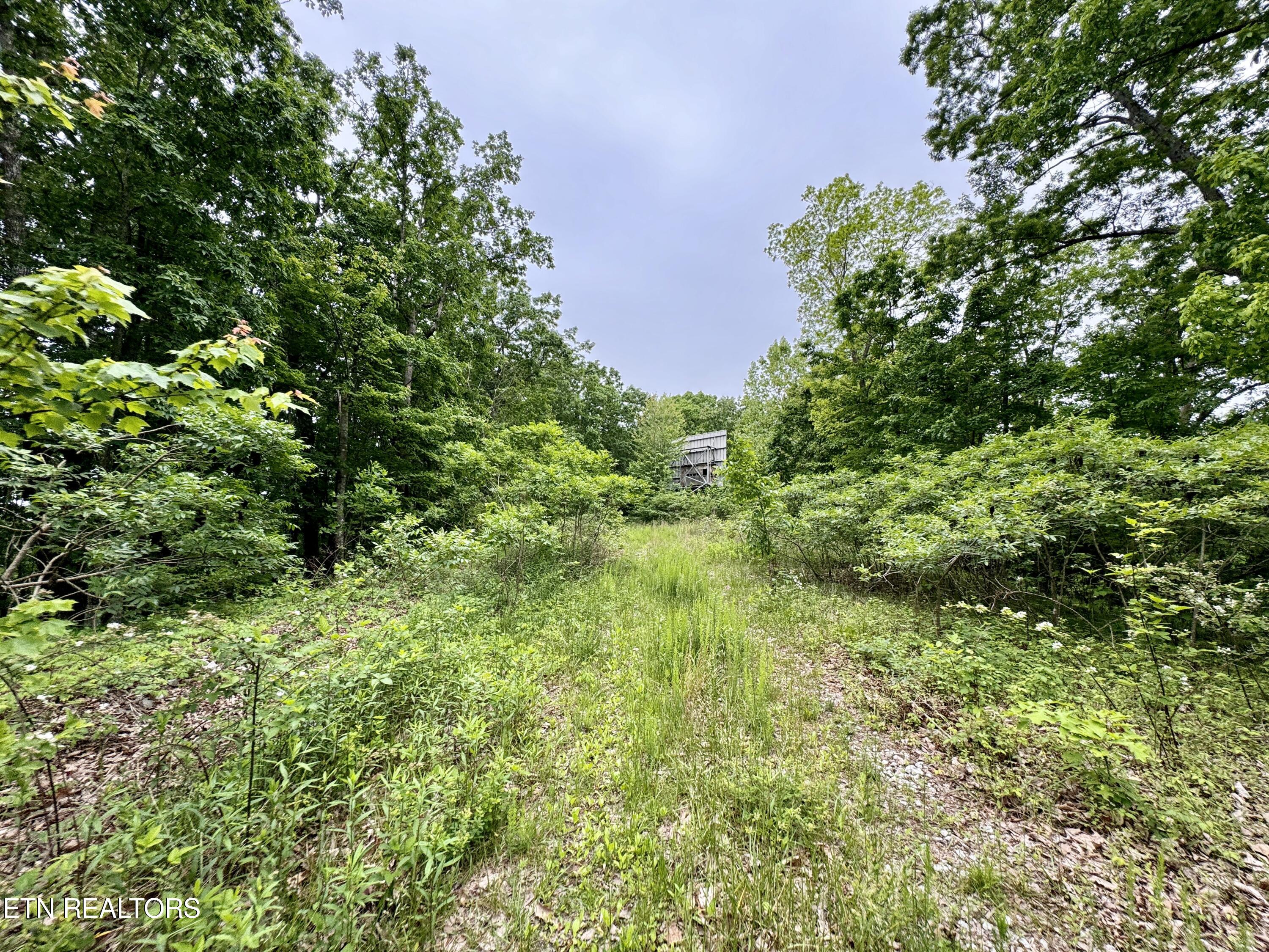 Green Ridge Tr Property Photo 53
