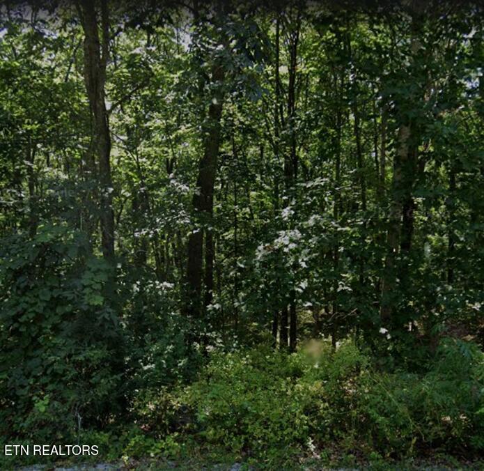 318 Snead Drive Property Photo