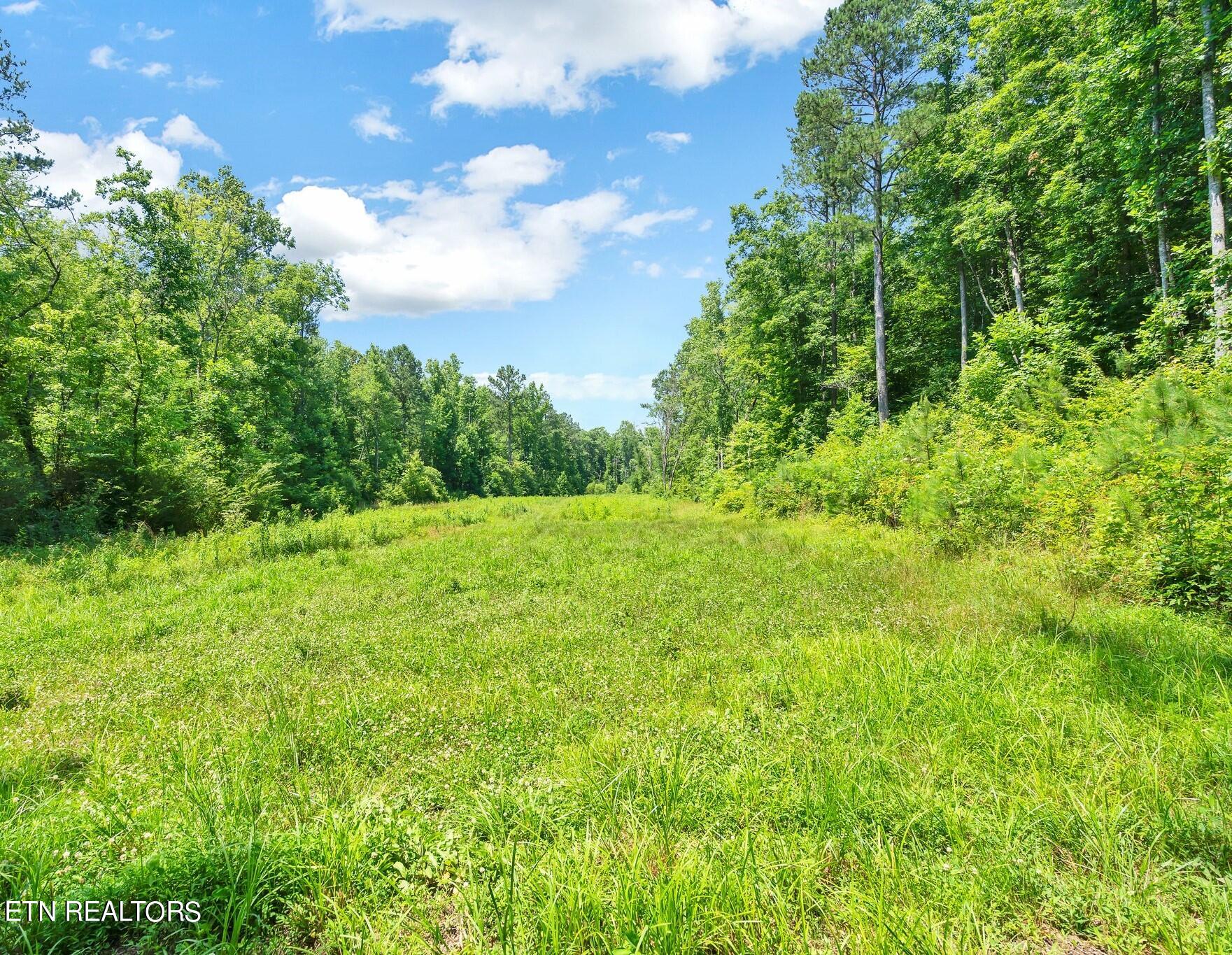 406 Pine Hill Rd Property Photo 57