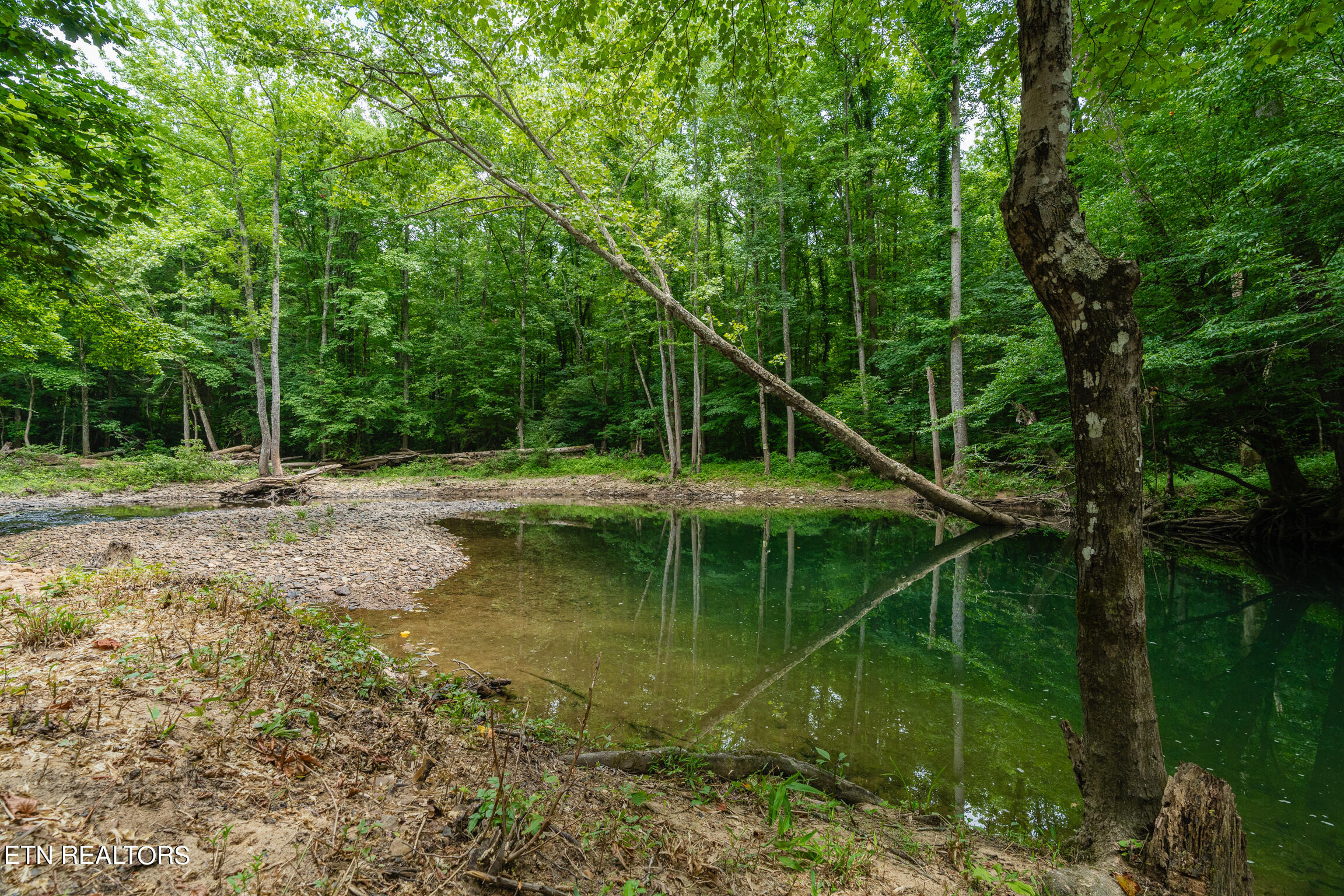 1.92 Ac Steel Tram Ridge Lane Property Photo