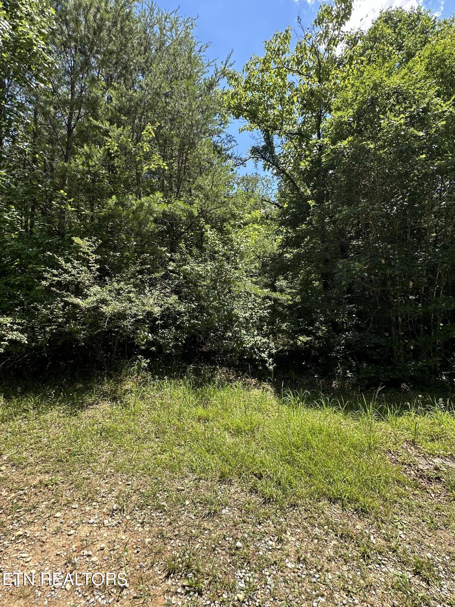 Bear Rd Property Photo