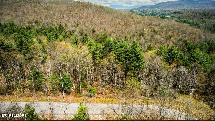 Green Ridge Trails - Lot #37 Property Photo