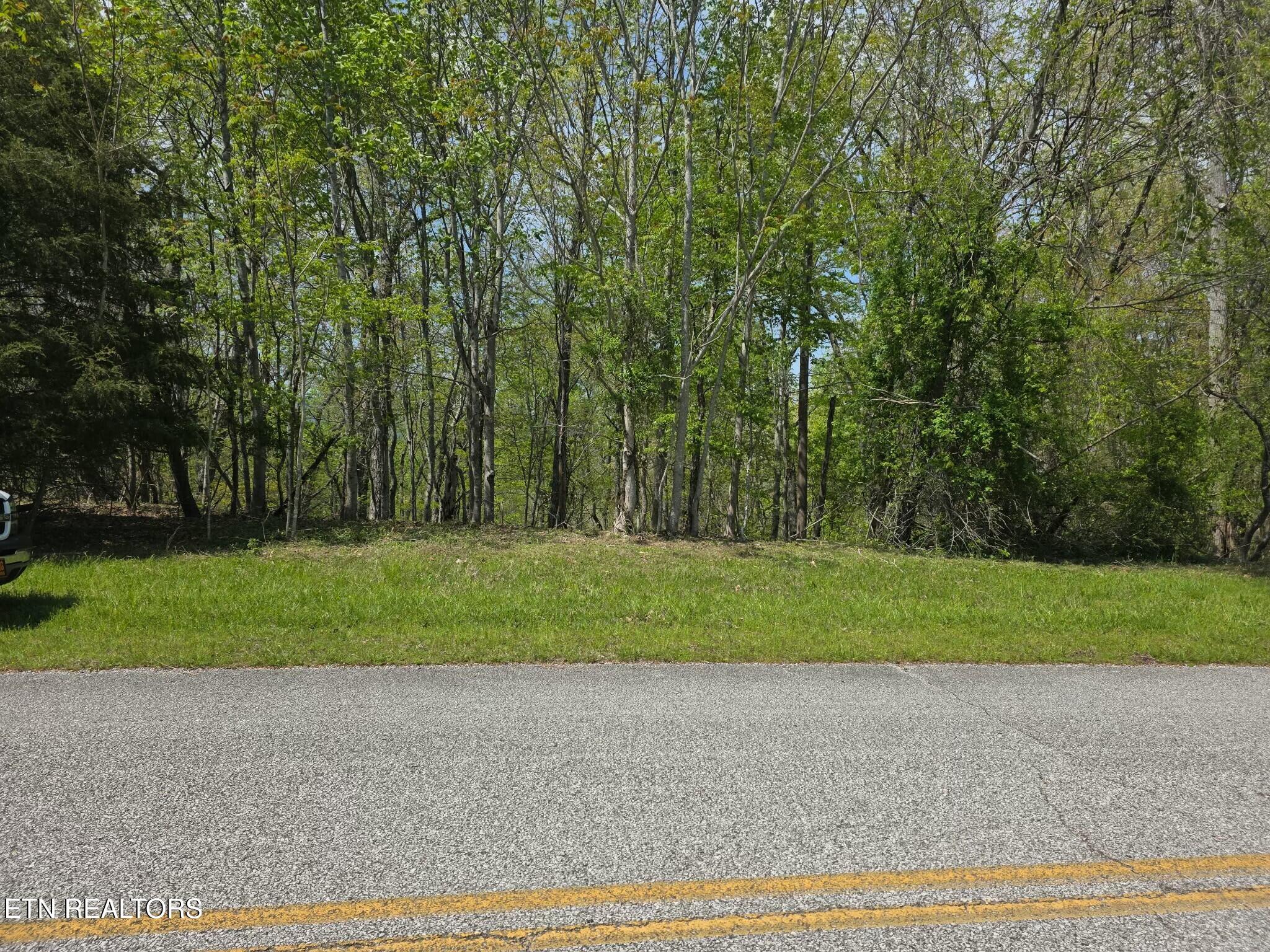 210 Crystal Springs Rd Property Photo 2