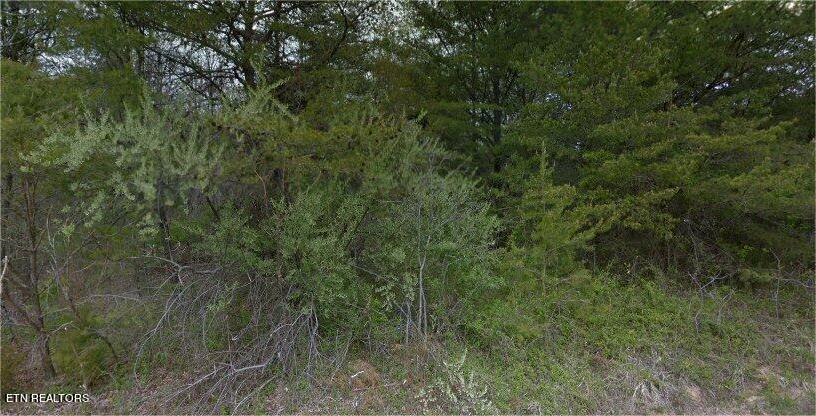 1137 Greyeagle Drive Property Photo