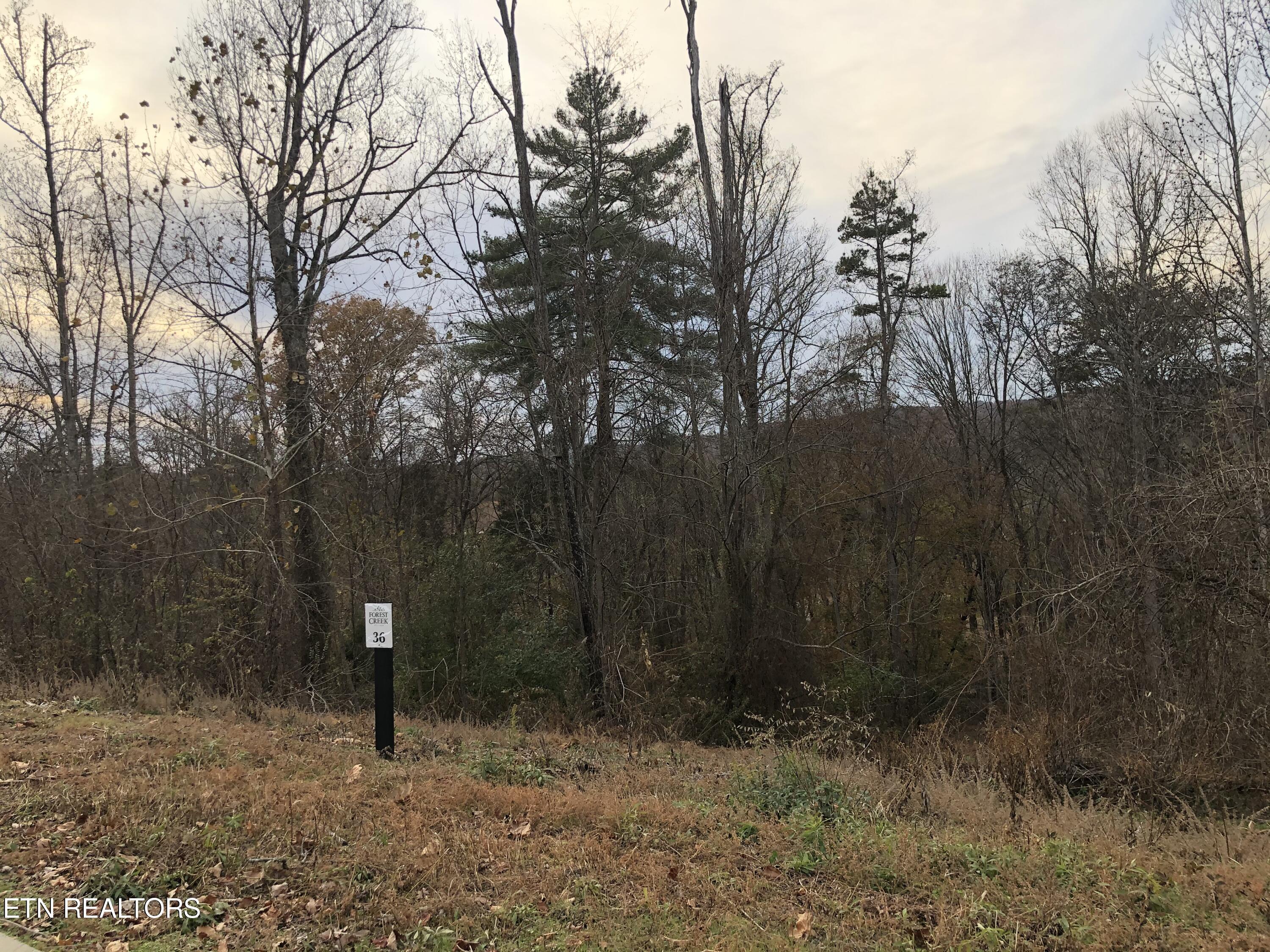 122 Black Oak Drive Property Photo