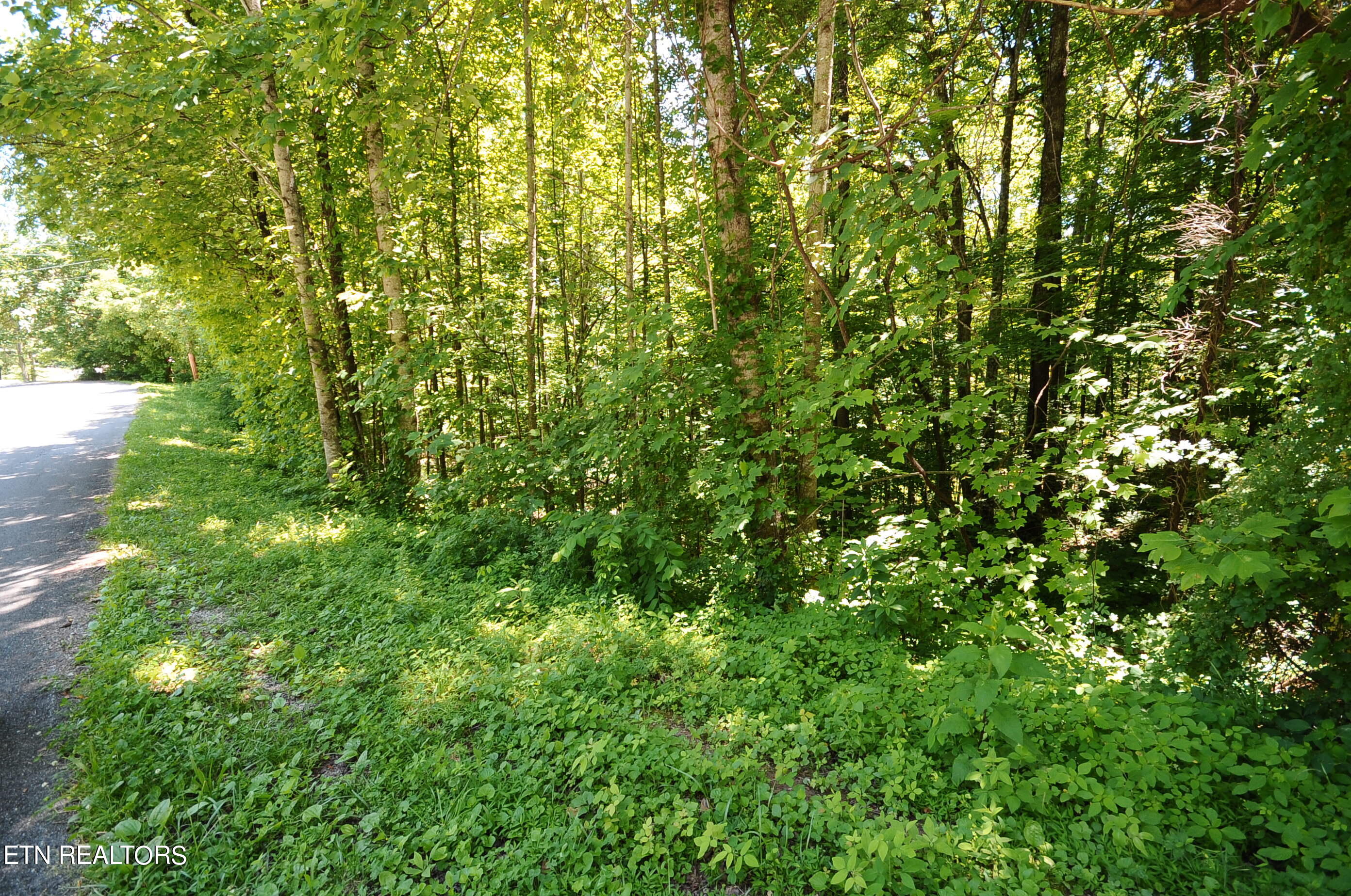Bobcat Tr Property Photo 2