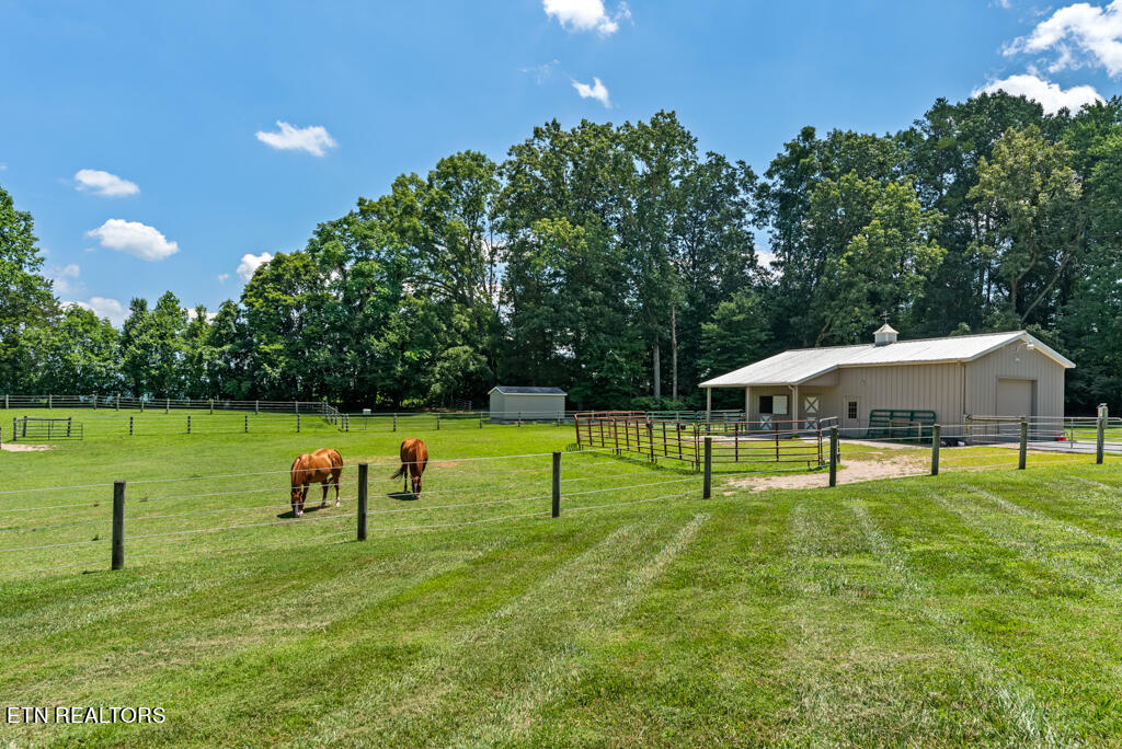 120 Fox Glen Lane Property Photo 8