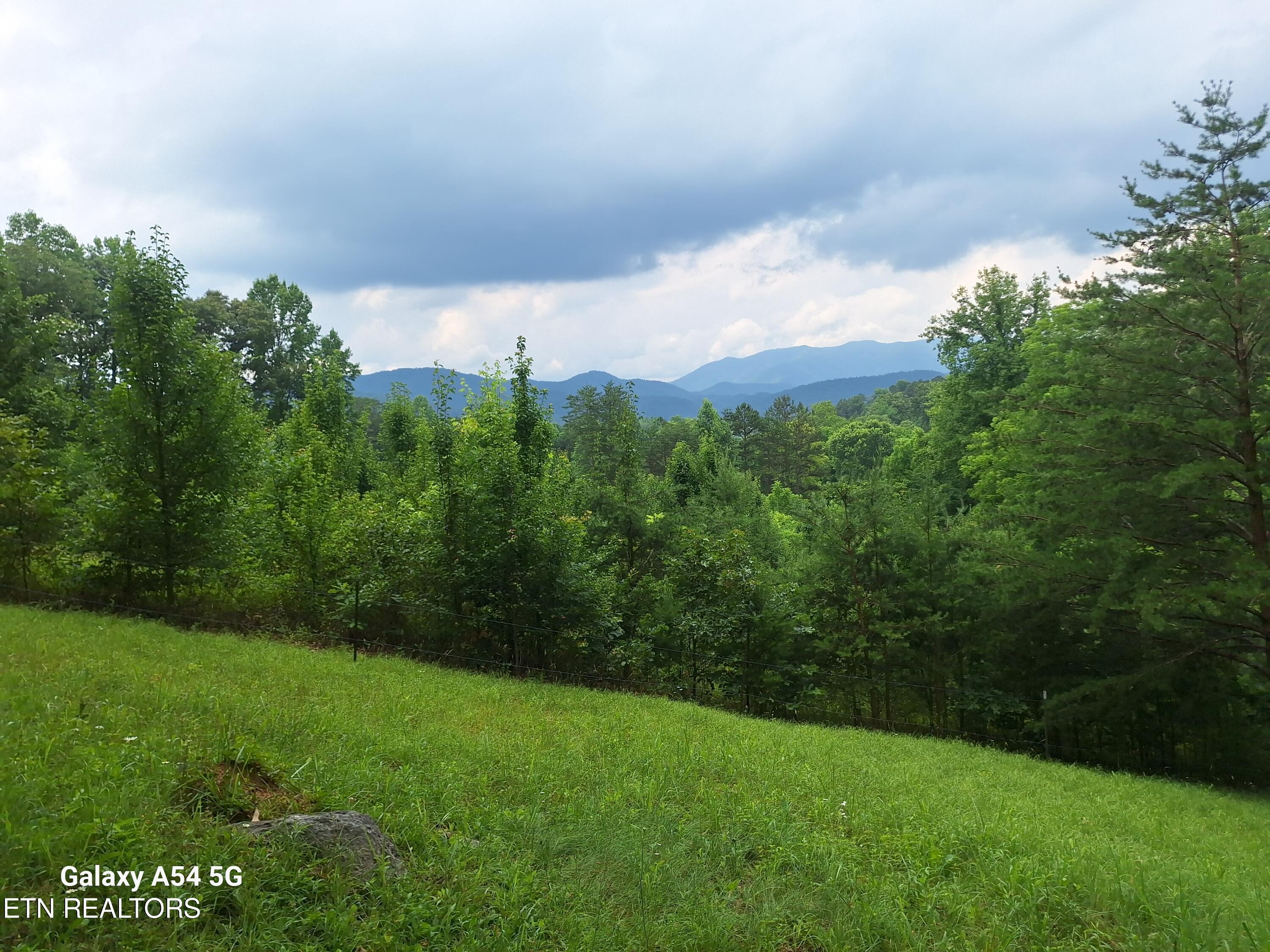 512 Lizzie Lane Property Photo 3
