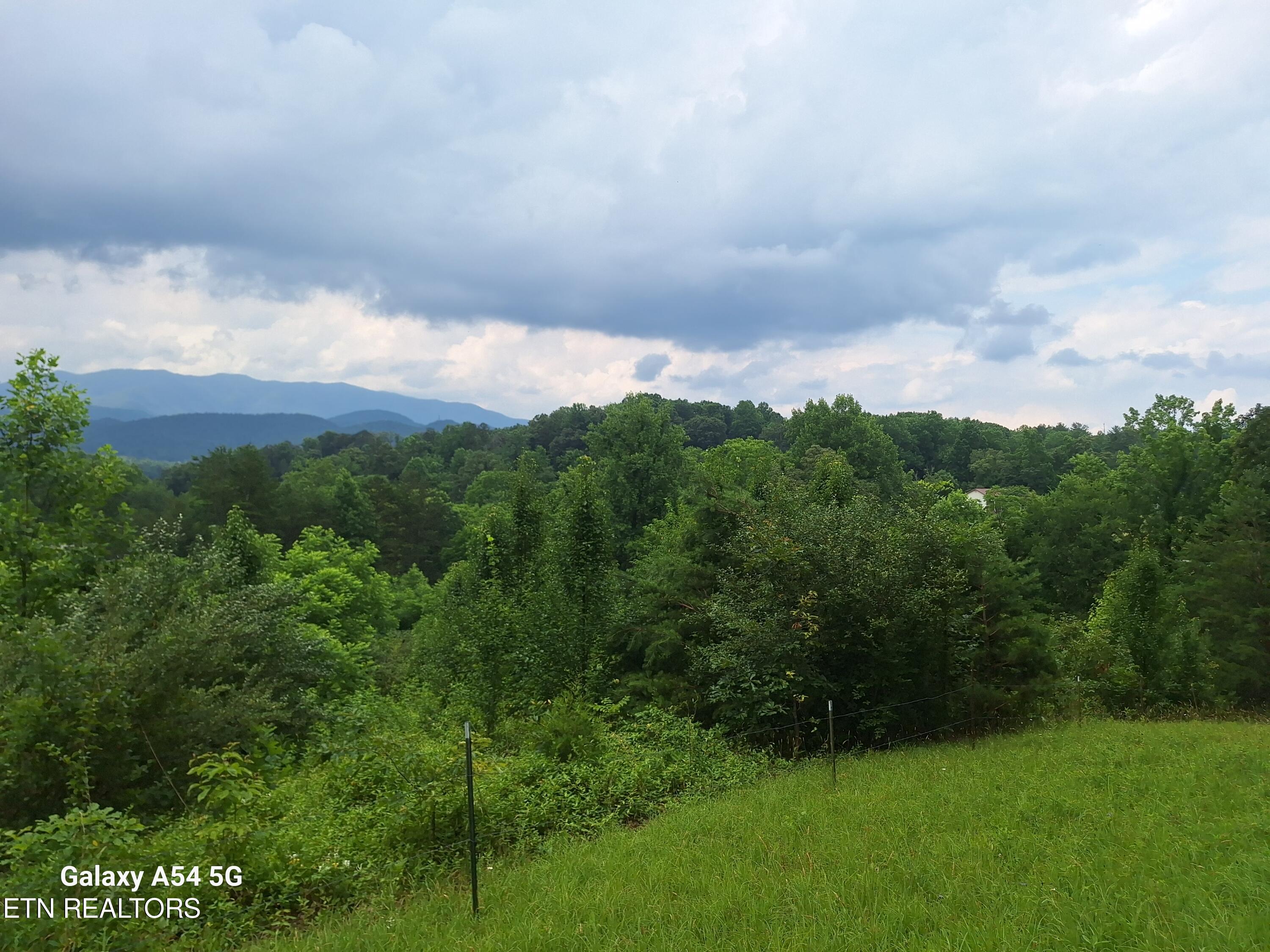 512 Lizzie Lane Property Photo 4