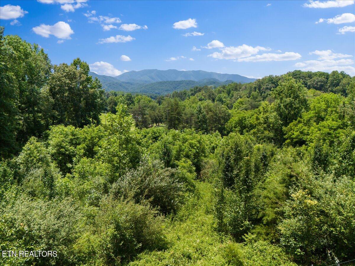 512 Lizzie Lane Property Photo 5