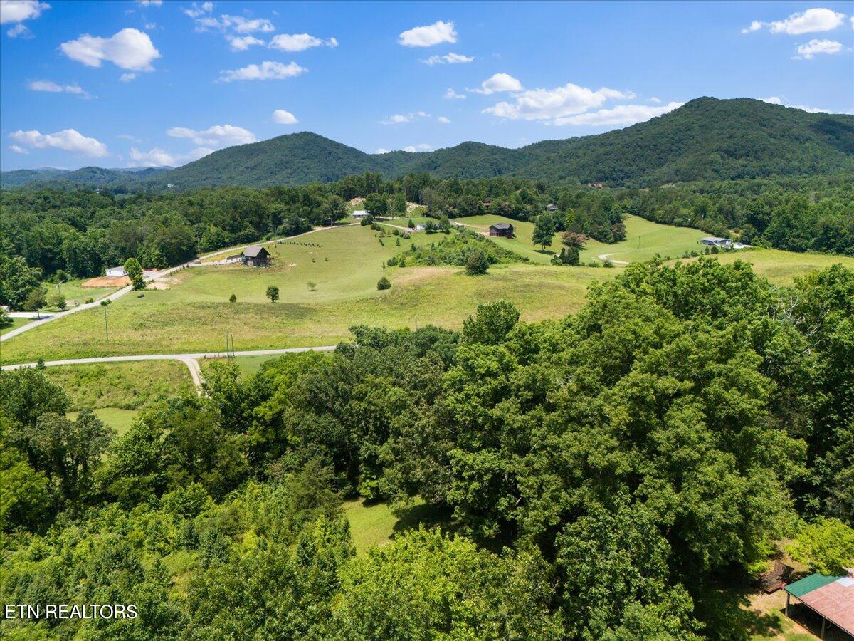 512 Lizzie Lane Property Photo 8