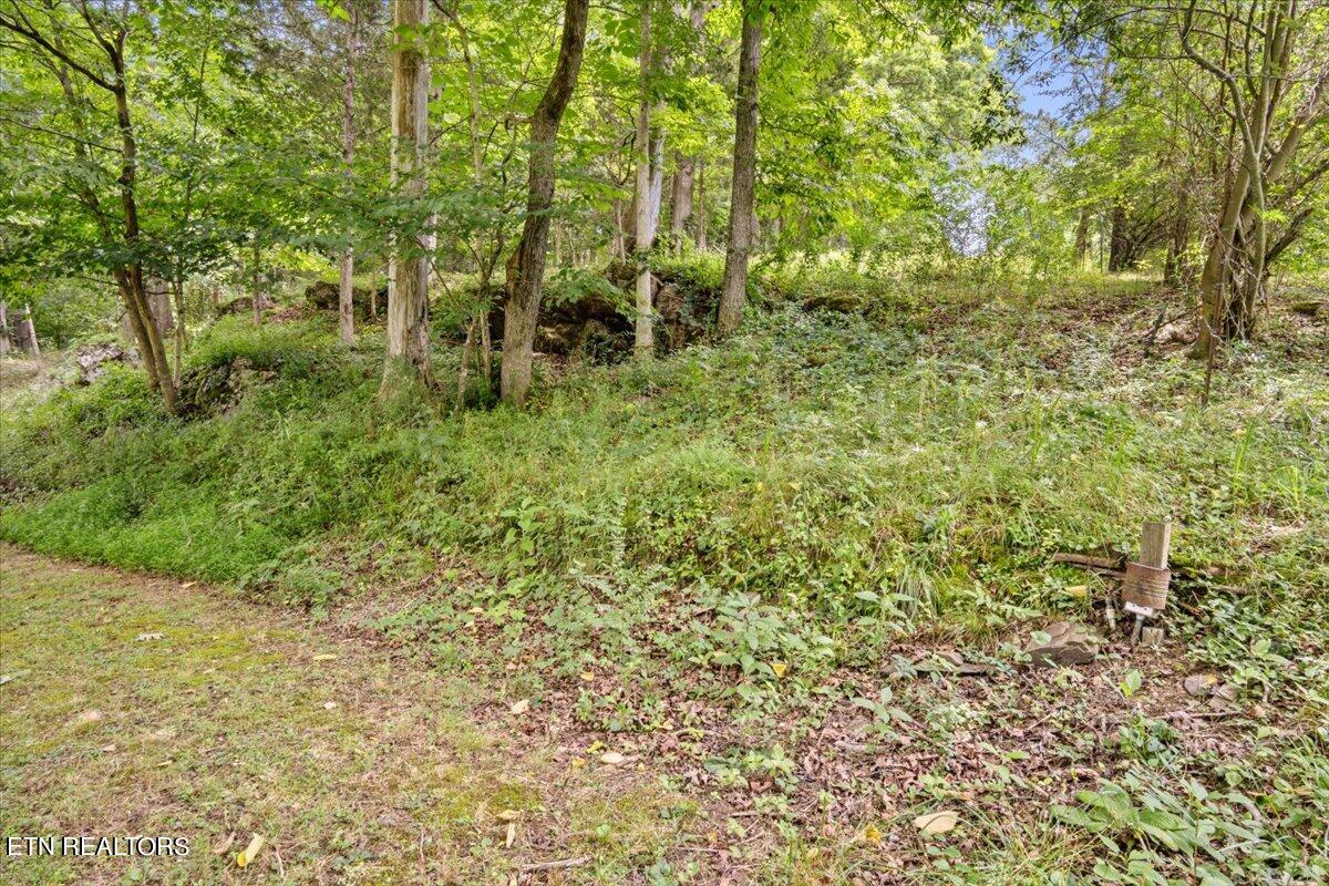 512 Lizzie Lane Property Photo 13