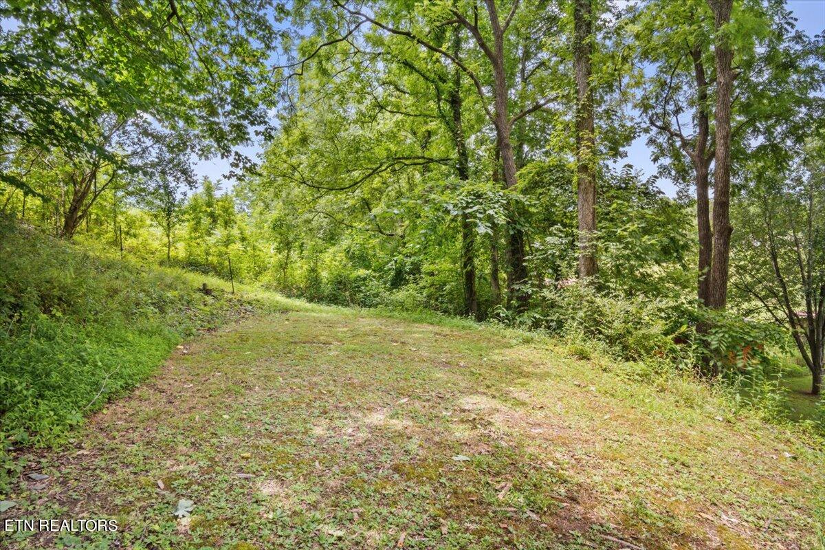 512 Lizzie Lane Property Photo 21