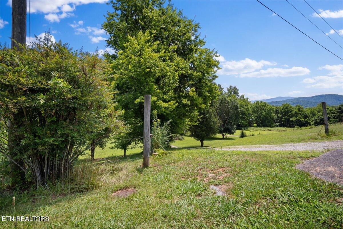 512 Lizzie Lane Property Photo 25