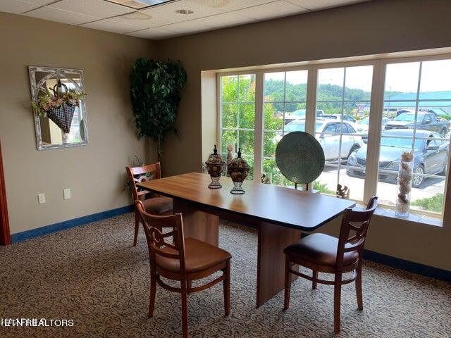 225 Collier Drive Property Photo 23