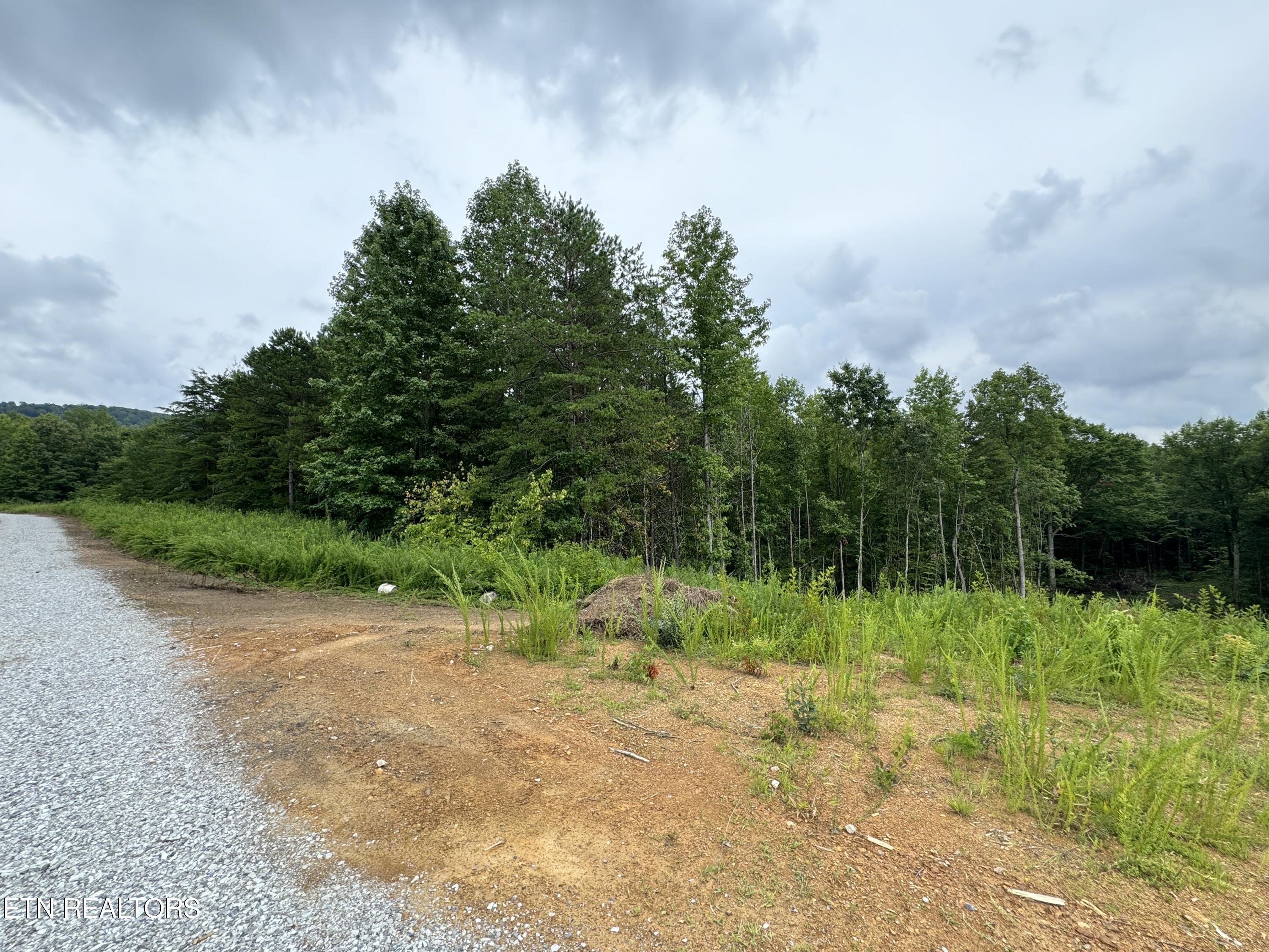 Cordell Mtn Pvt(tract 10) Lane Property Photo