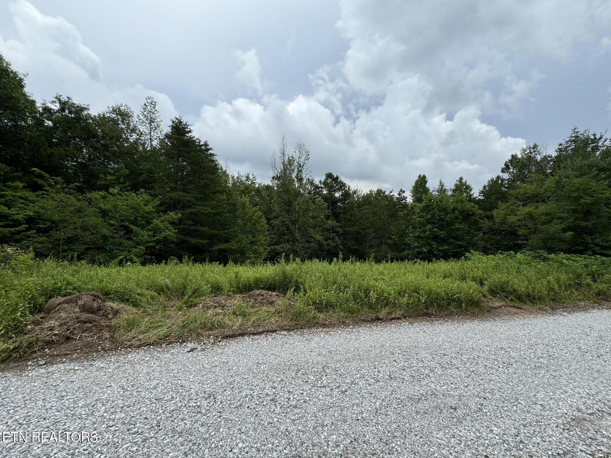 Cordell Mtn Pvt (tract 11) Lane Property Photo