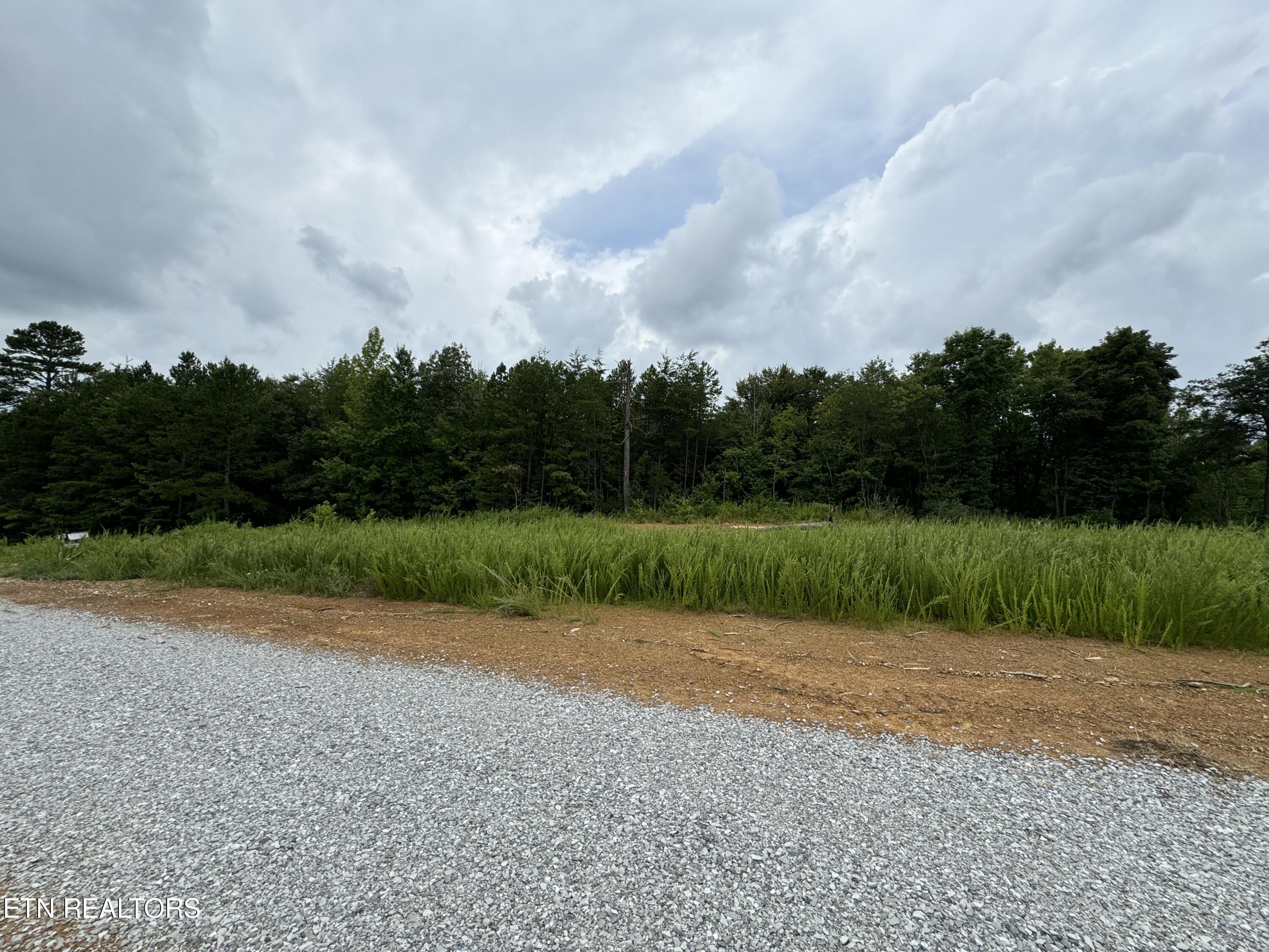Cordell Mtn Pvt (tract 15) Lane Property Photo