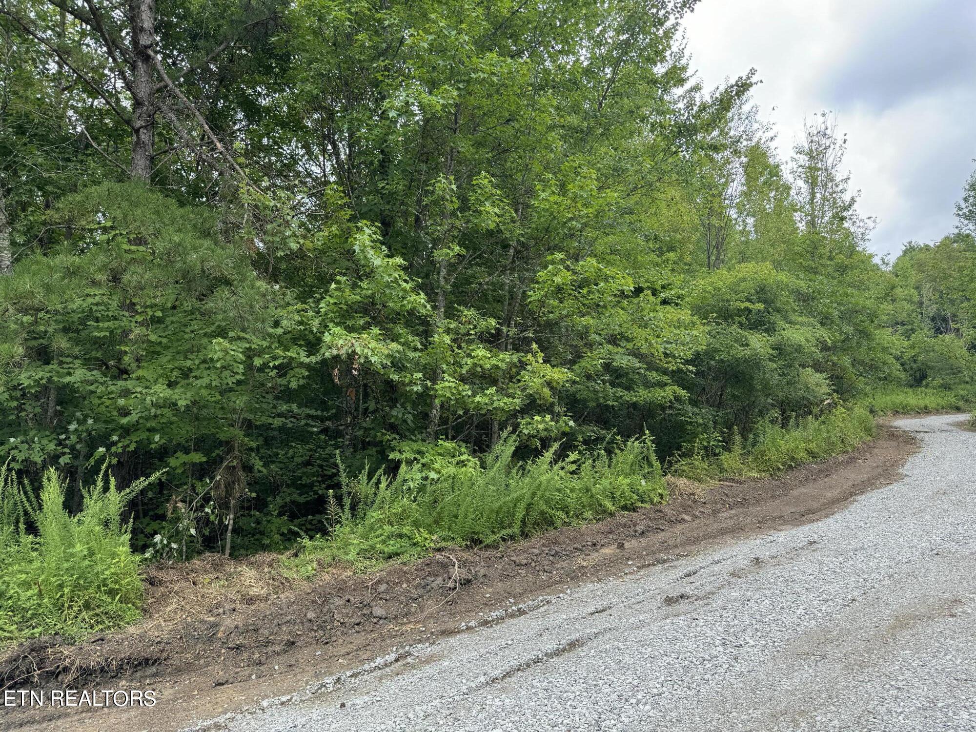 Cordell Mtn Pvt (tract 18) Lane Property Photo