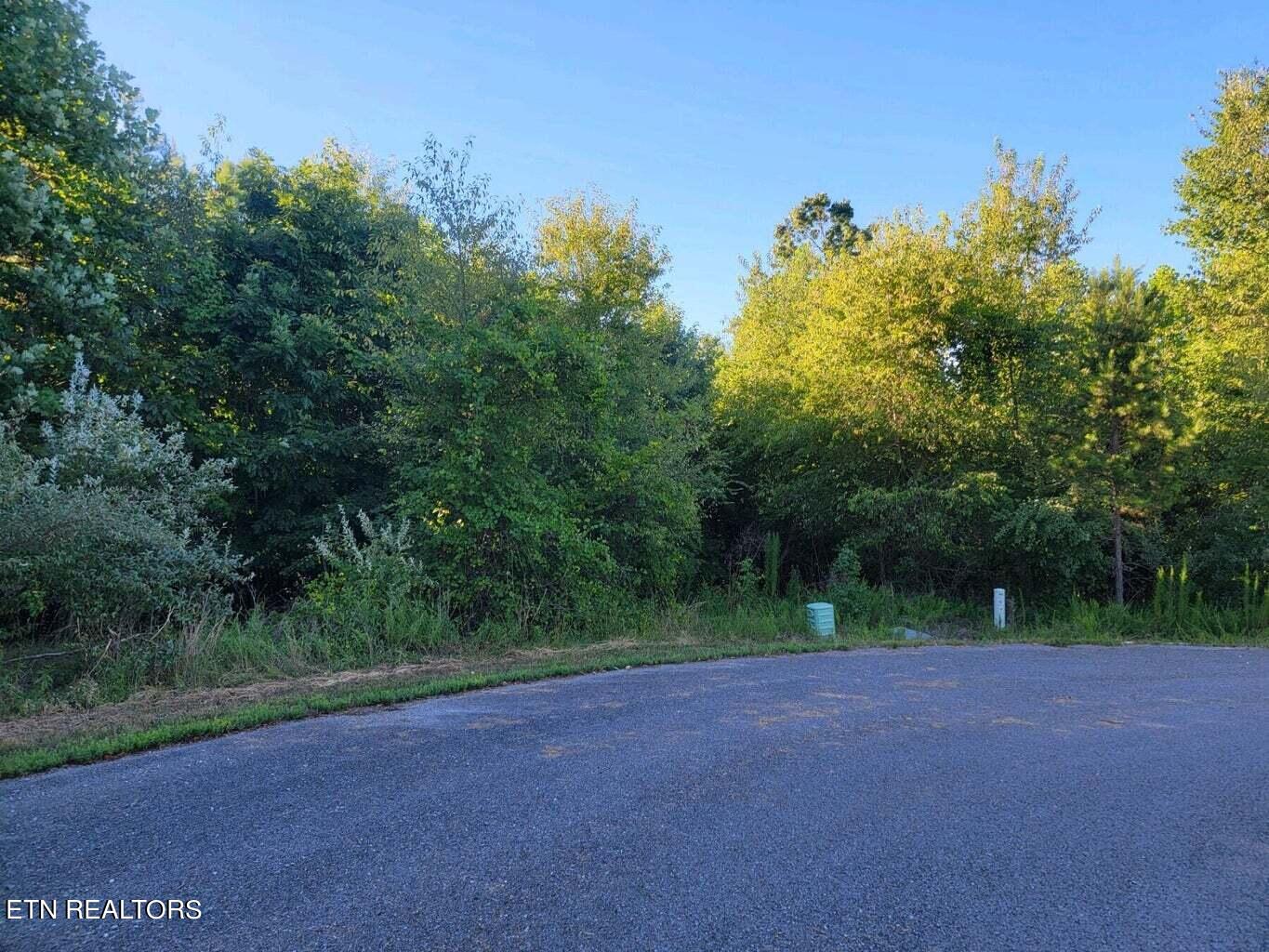 Taylor Way Property Photo