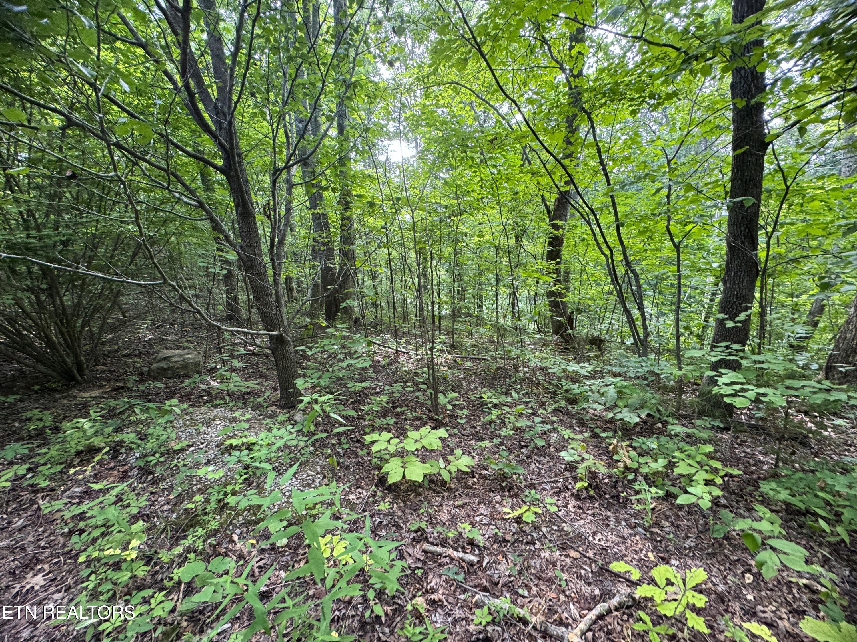 1884 Woodland Way Property Photo