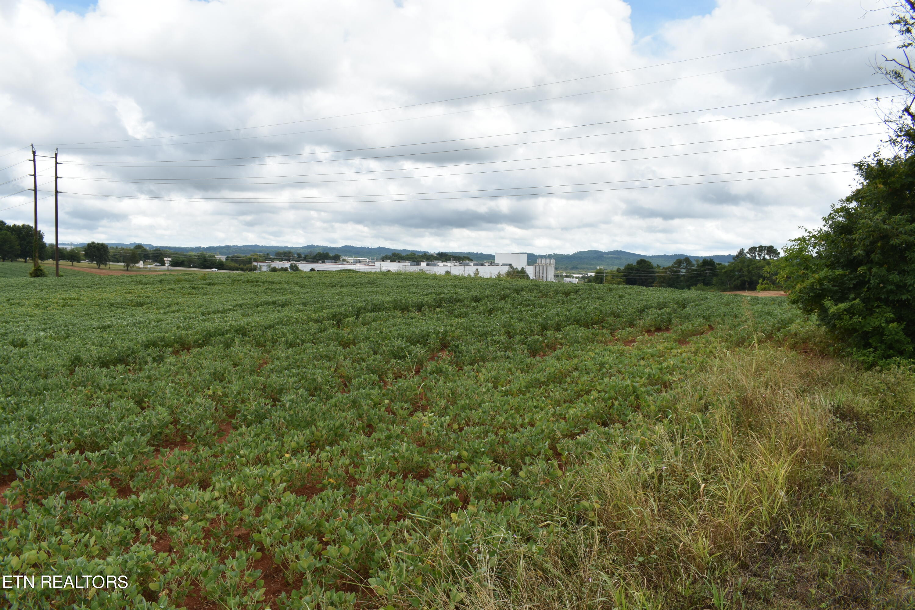 Old Poplar Ridge Rd Property Photo 3