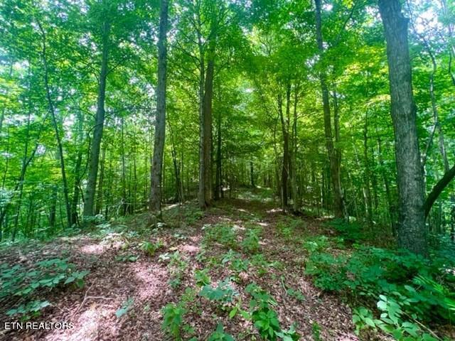 00 Skaggs Branch Rd Property Photo