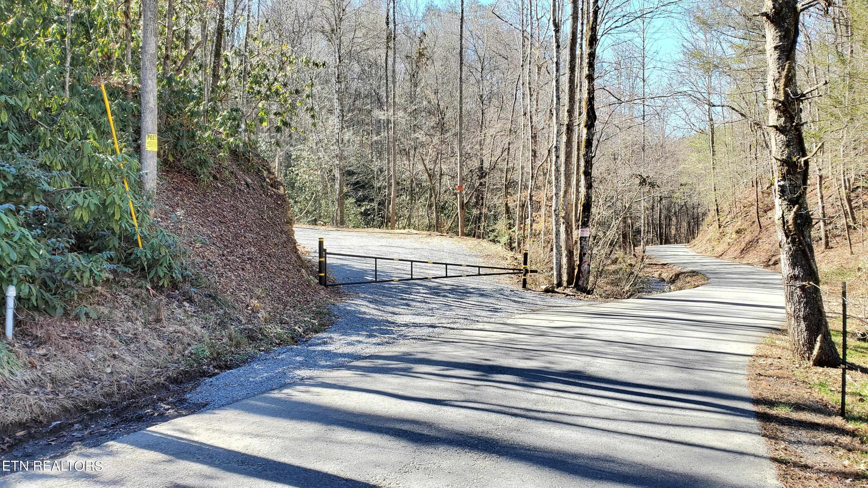 4903 Long Rifle Rd Property Photo 12