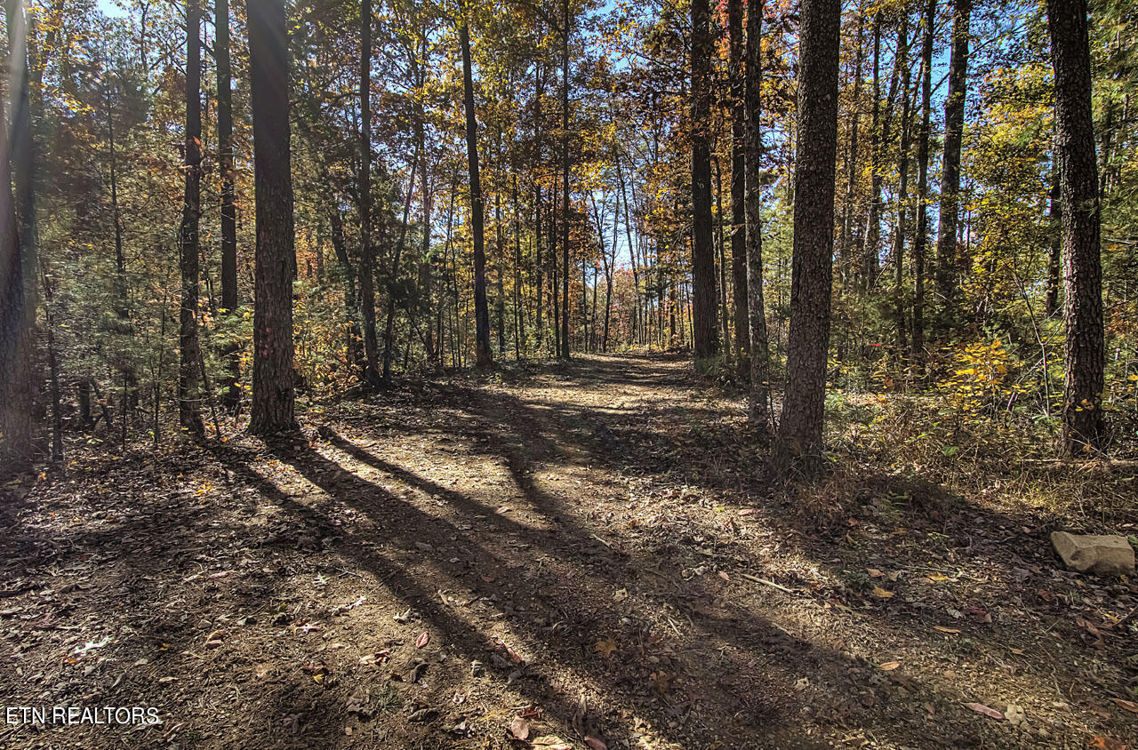 4903 Long Rifle Rd Property Photo 13